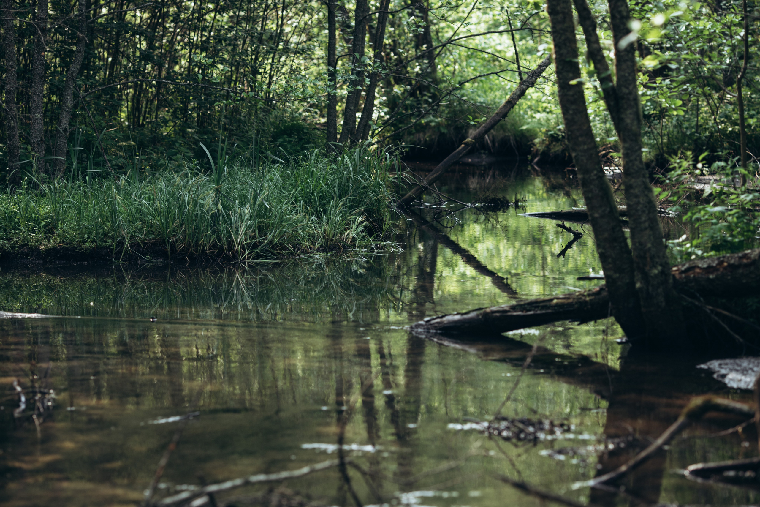 Природные пейзажи. Наталия Клевинскас портретный фотограф в Костроме