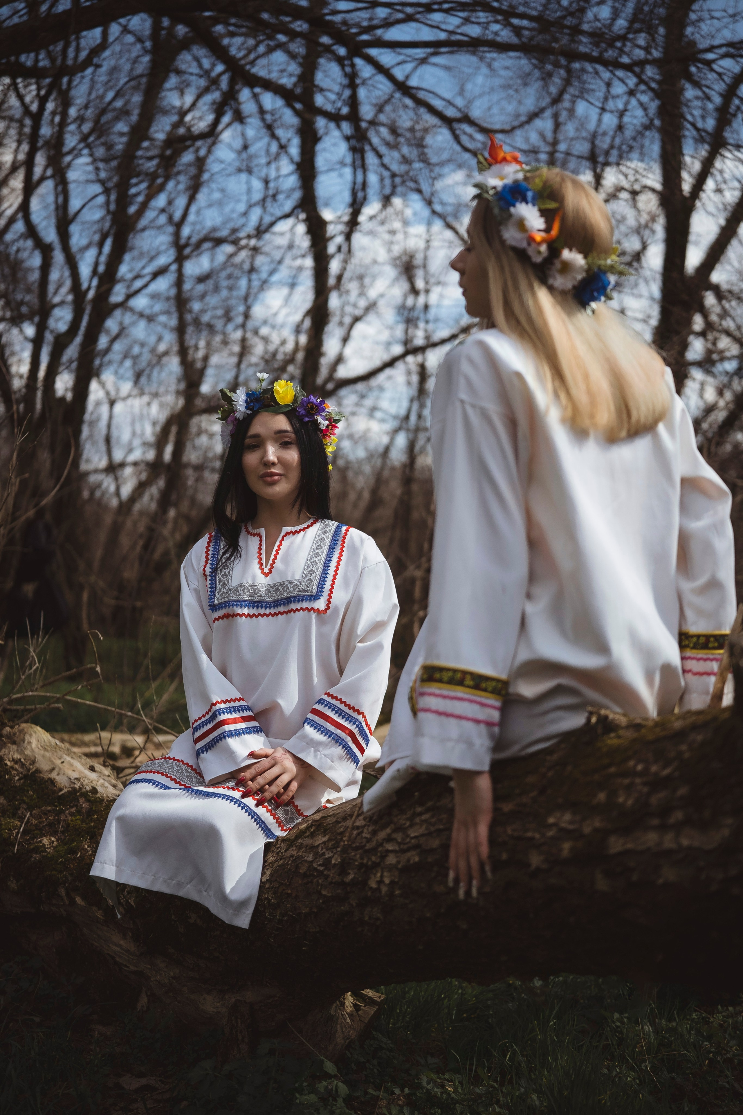 Зеленый остров. Главная