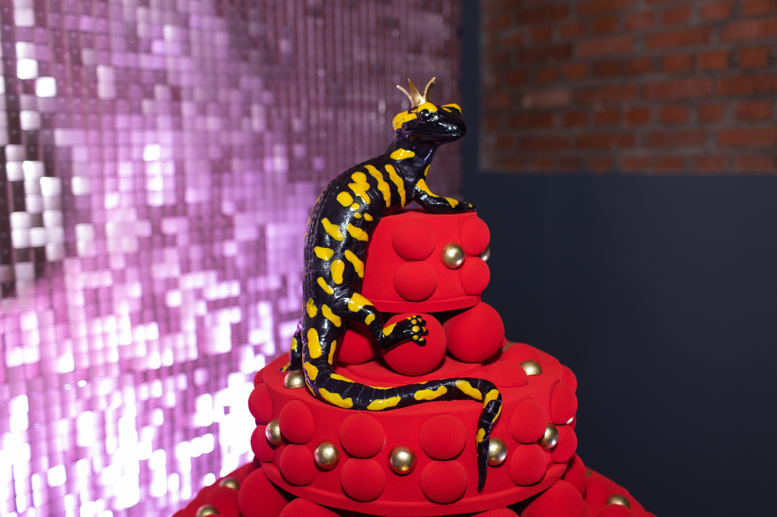 Happy Birthday Salamander. Фотограф в Москве Десятова Ксения