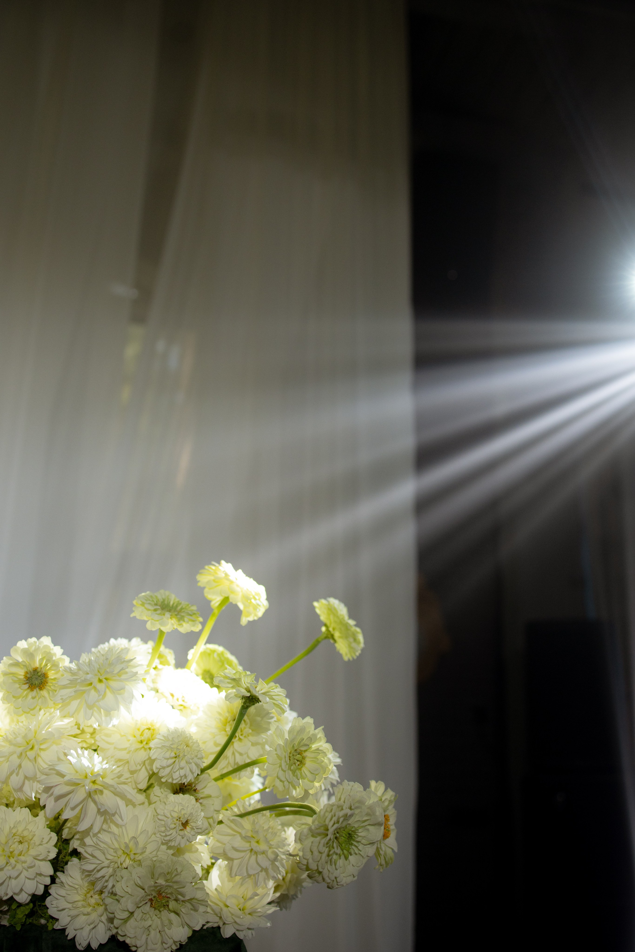 Валерия & Илья. Оформление свадеб, декор свадеб Вера Маркова, Москва