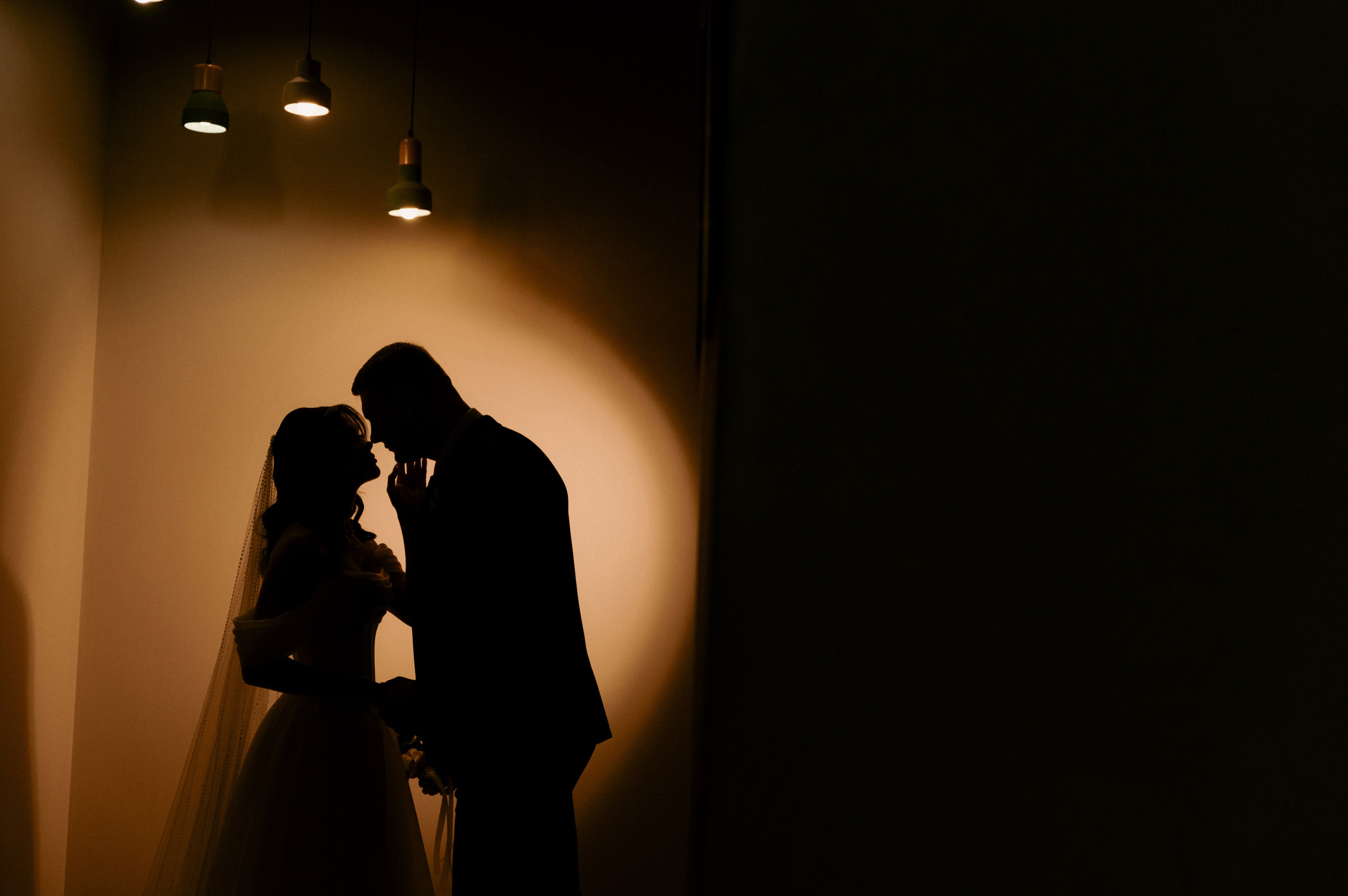 Дмитрий + Диана. Свадебный фотограф в Тамбове Валерий Тихов