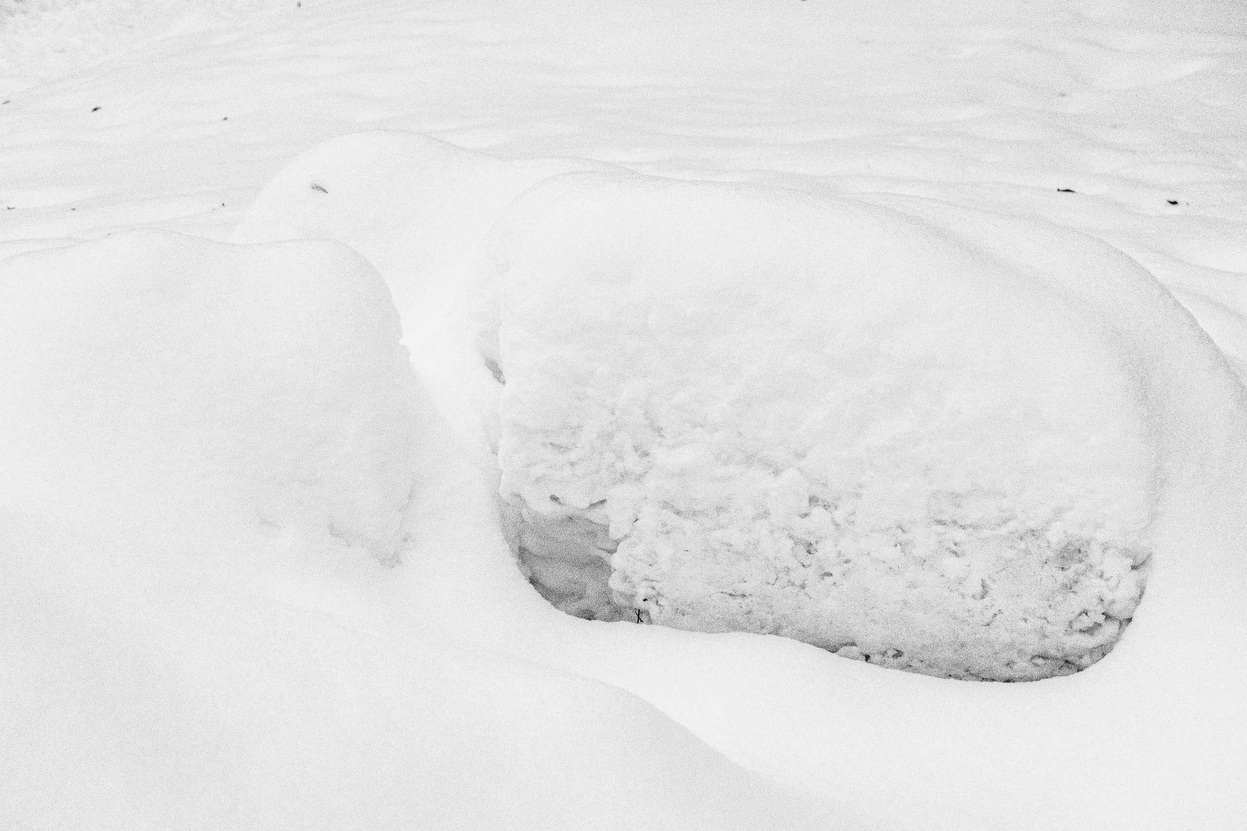 Снег в Москве. Портретный и архитектурный фотограф в Москве и Санкт-Петербурге