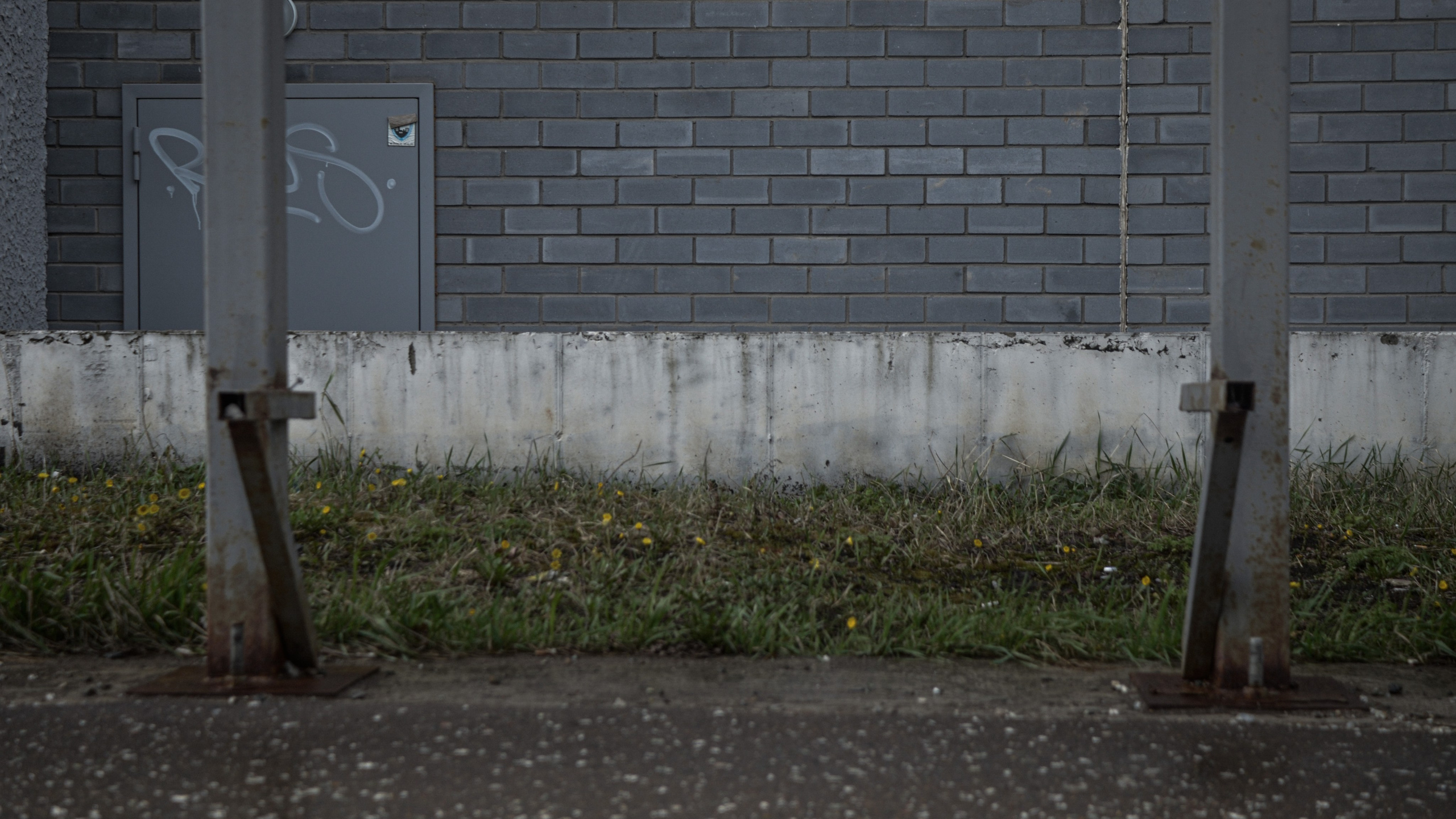 «П.ДД.Н». Fedor Kalinin