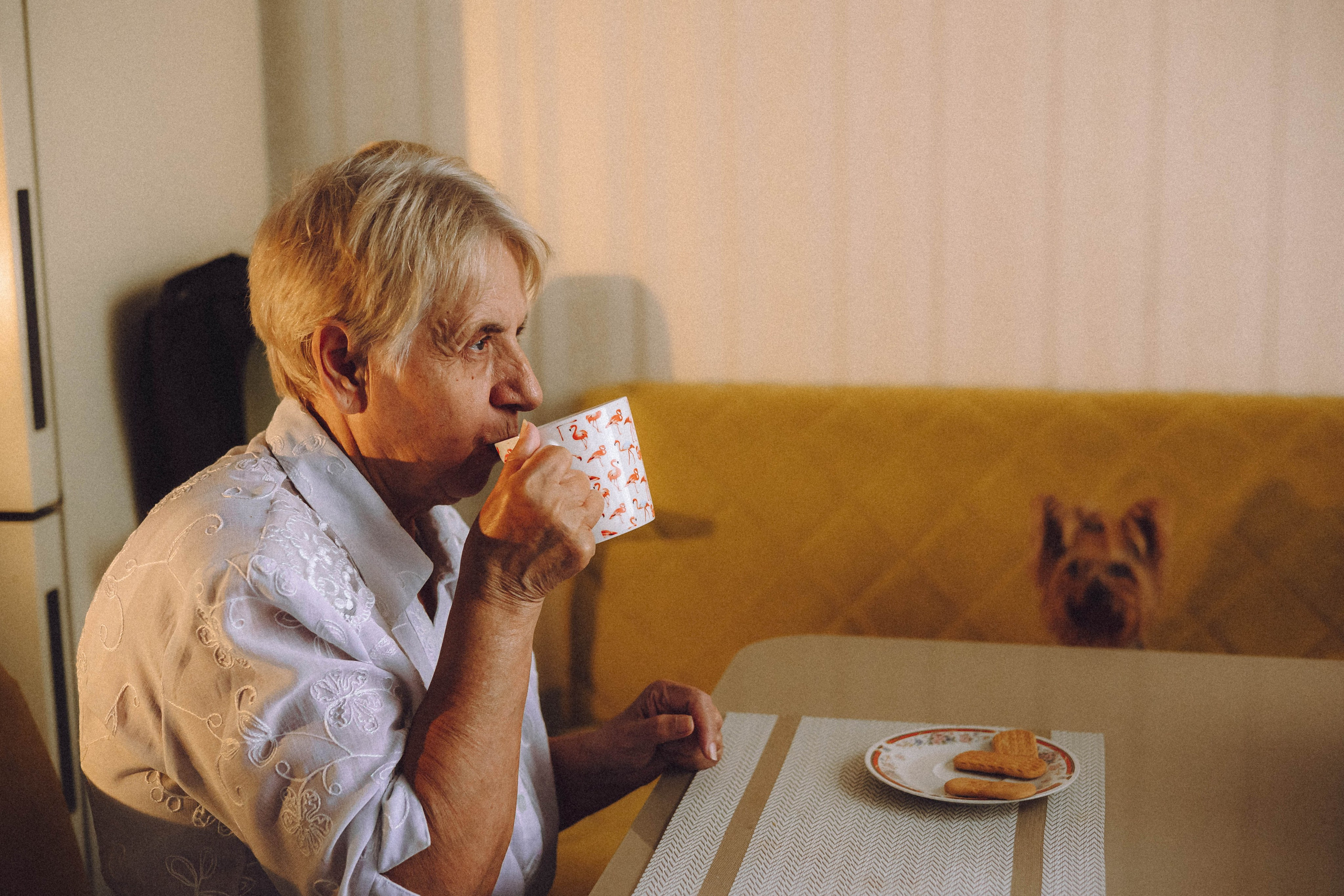 Дэзи и ее семья