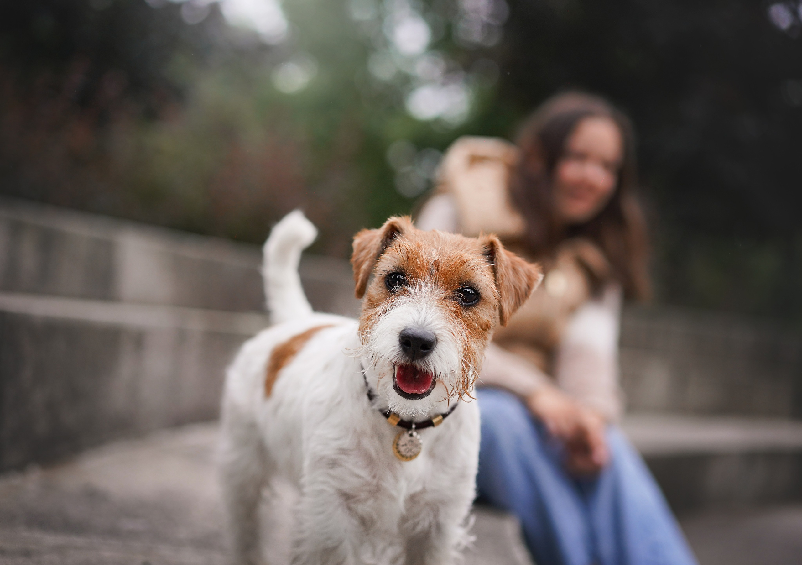 Люба и Тося. Фотограф-анималист в Санкт-Петербурге Яна Мартынова