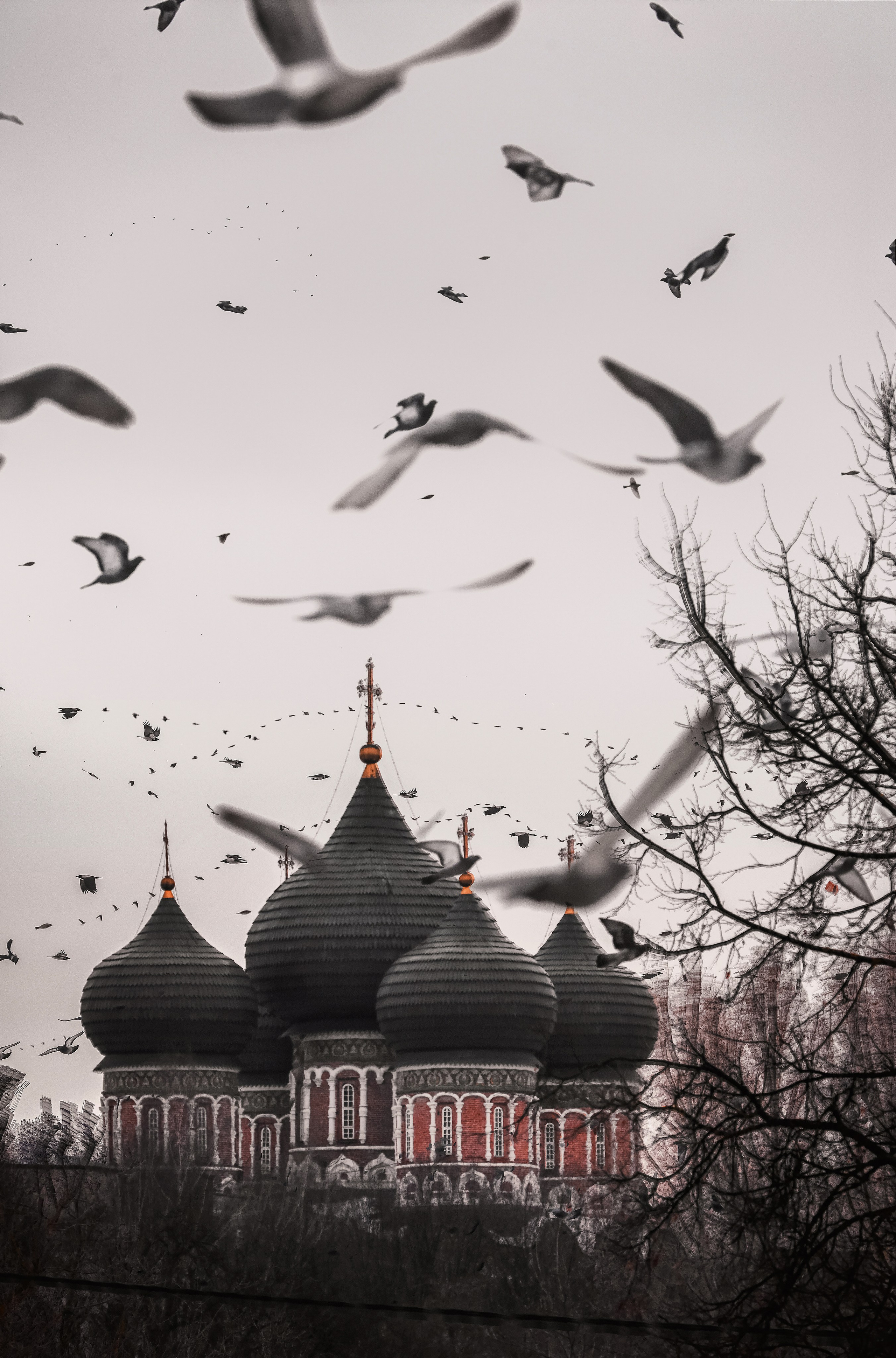 Мультимедийный проект «Траектория мегаполиса». Павел Иванов — фотохудожник