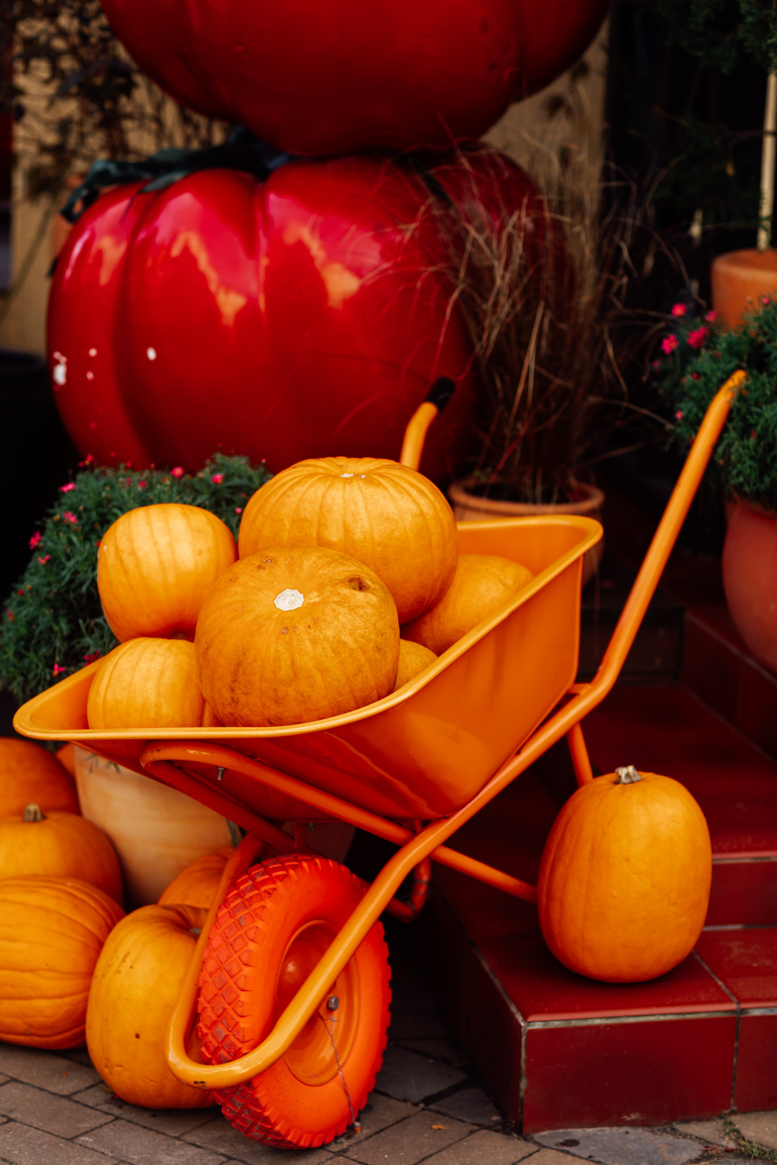 Зеленоградск. Https://malovafoto.ru