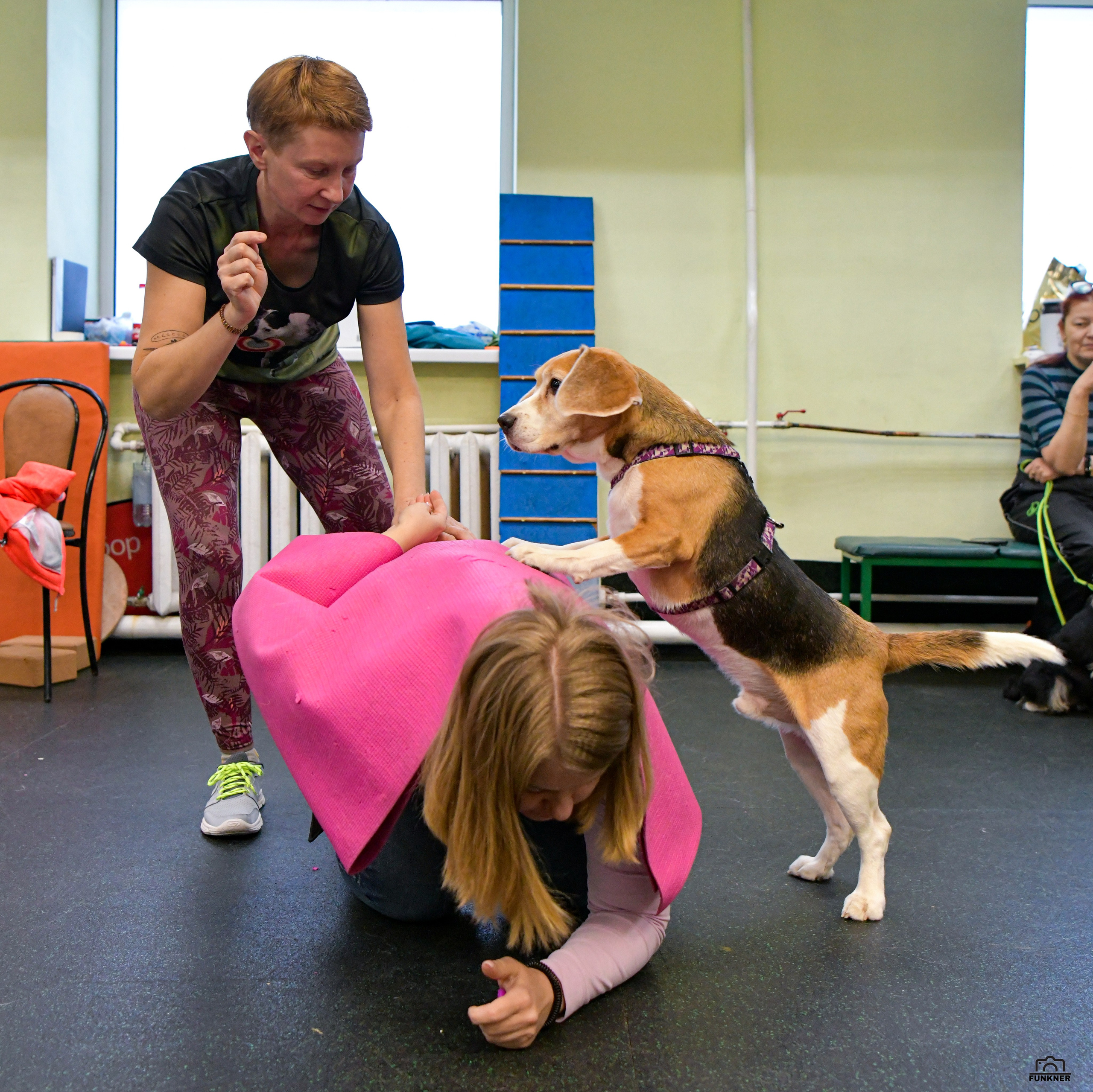 Кинологический клуб «Бодрый хвост». Свой взгляд через объектив