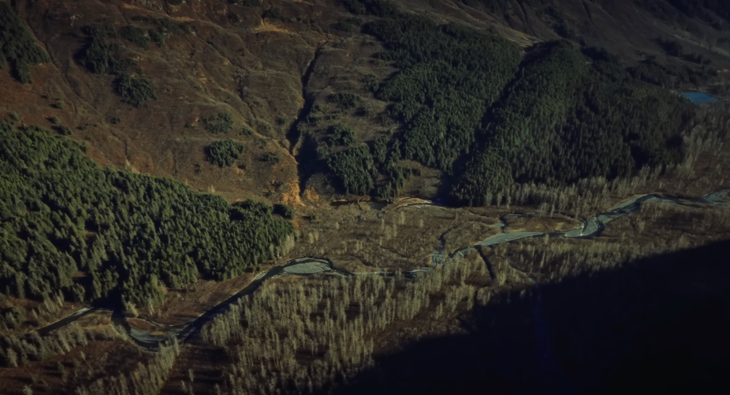 My transformation or how I became homeless in the USA. Tokcolor