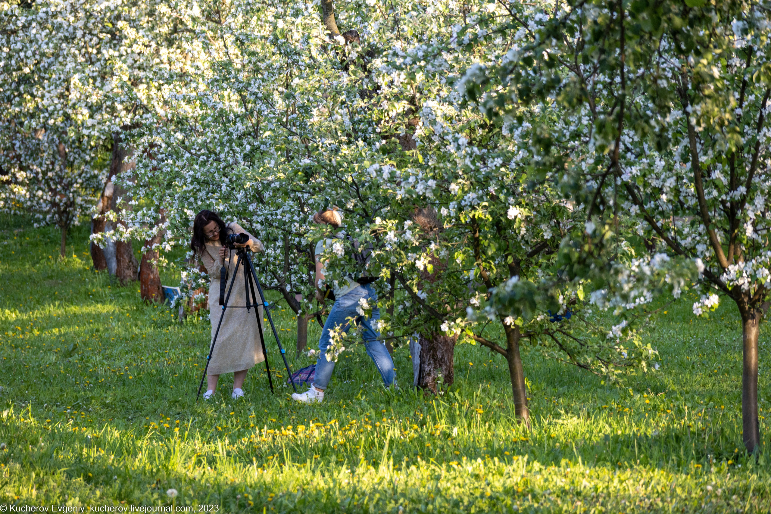 Фотографы. Кучеров Евгений. Фотограф