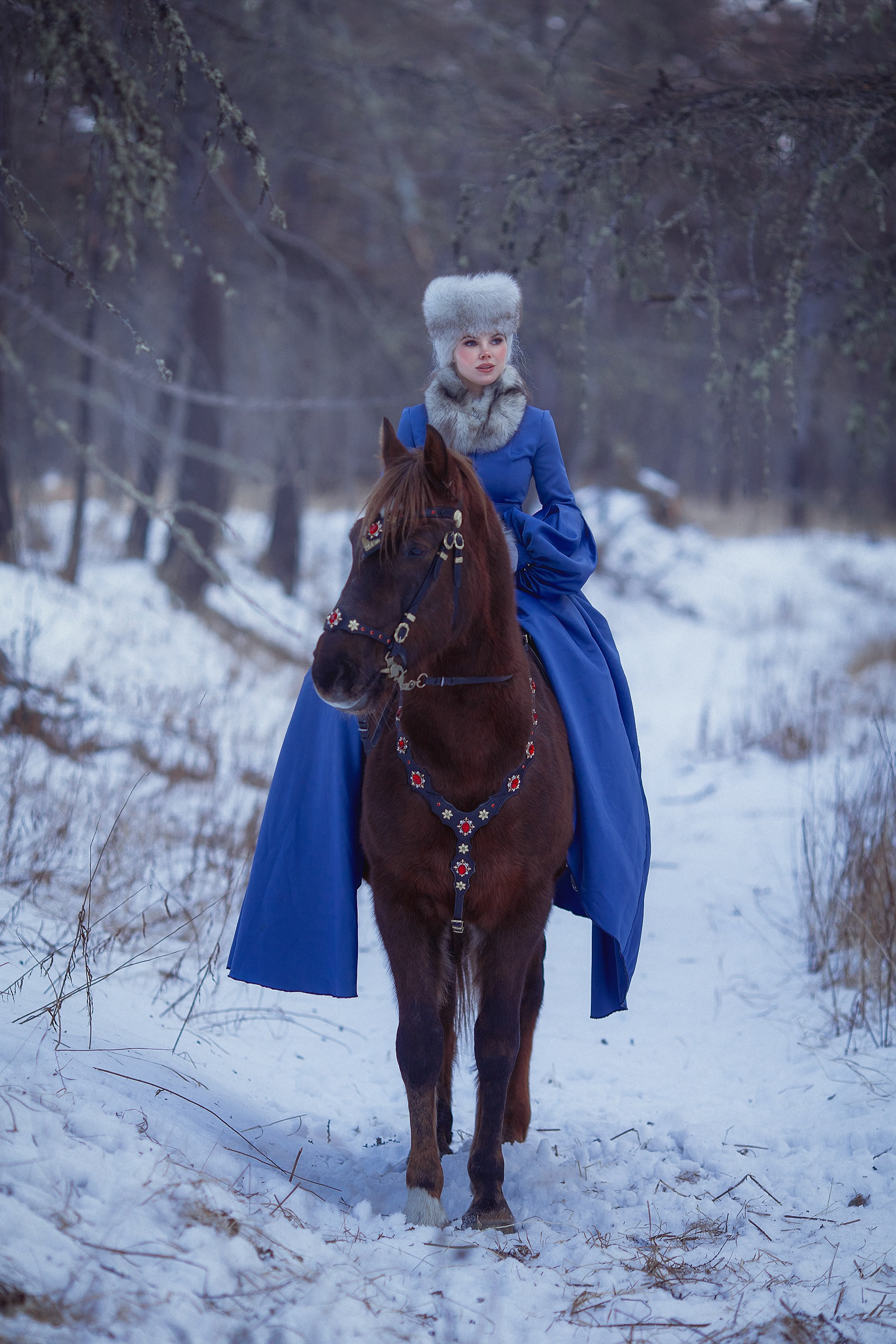 Лес. Фотограф Алёна Яковлева