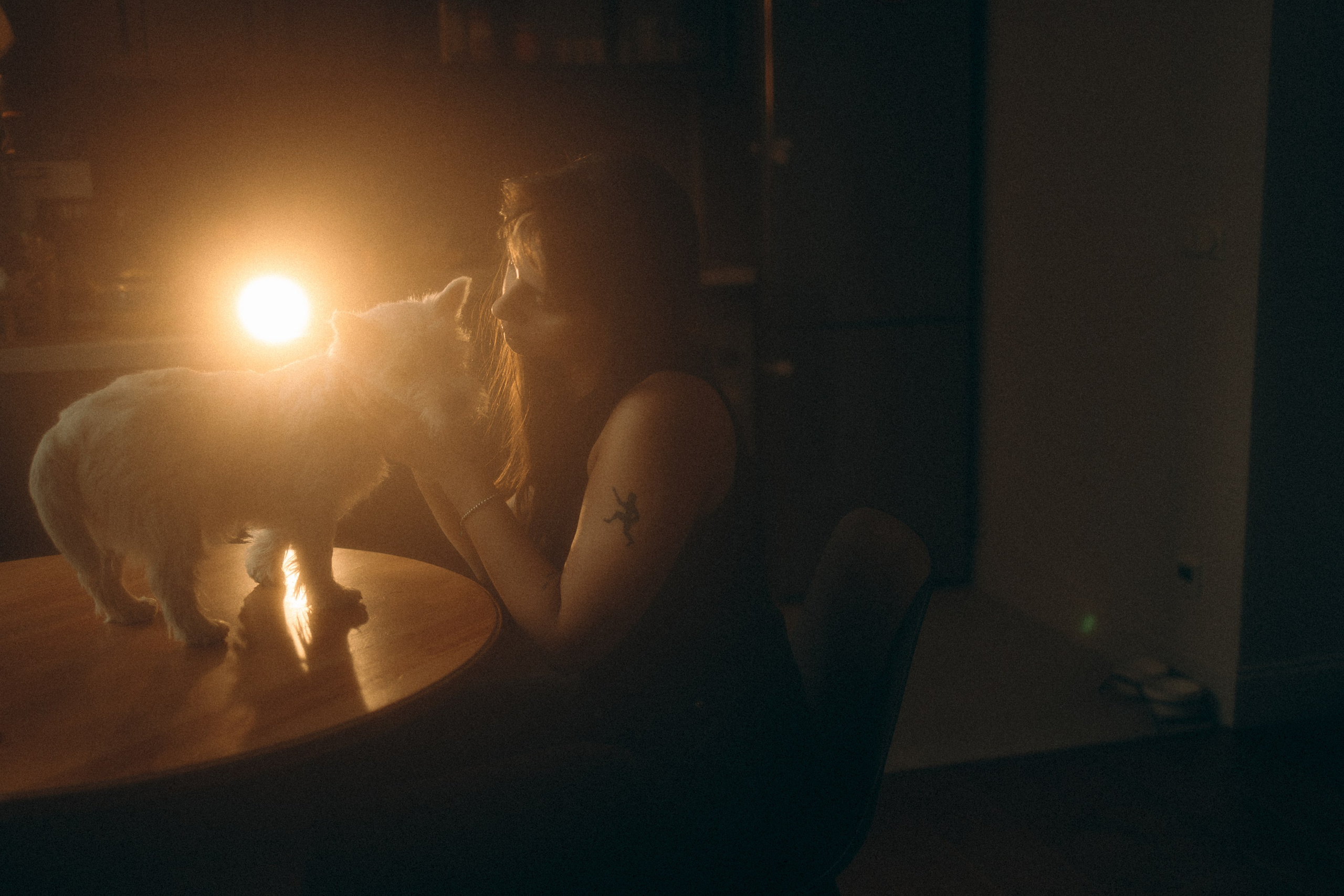 Снежуля, Мари и Саша. Фотограф анималист Анастасия Пикей