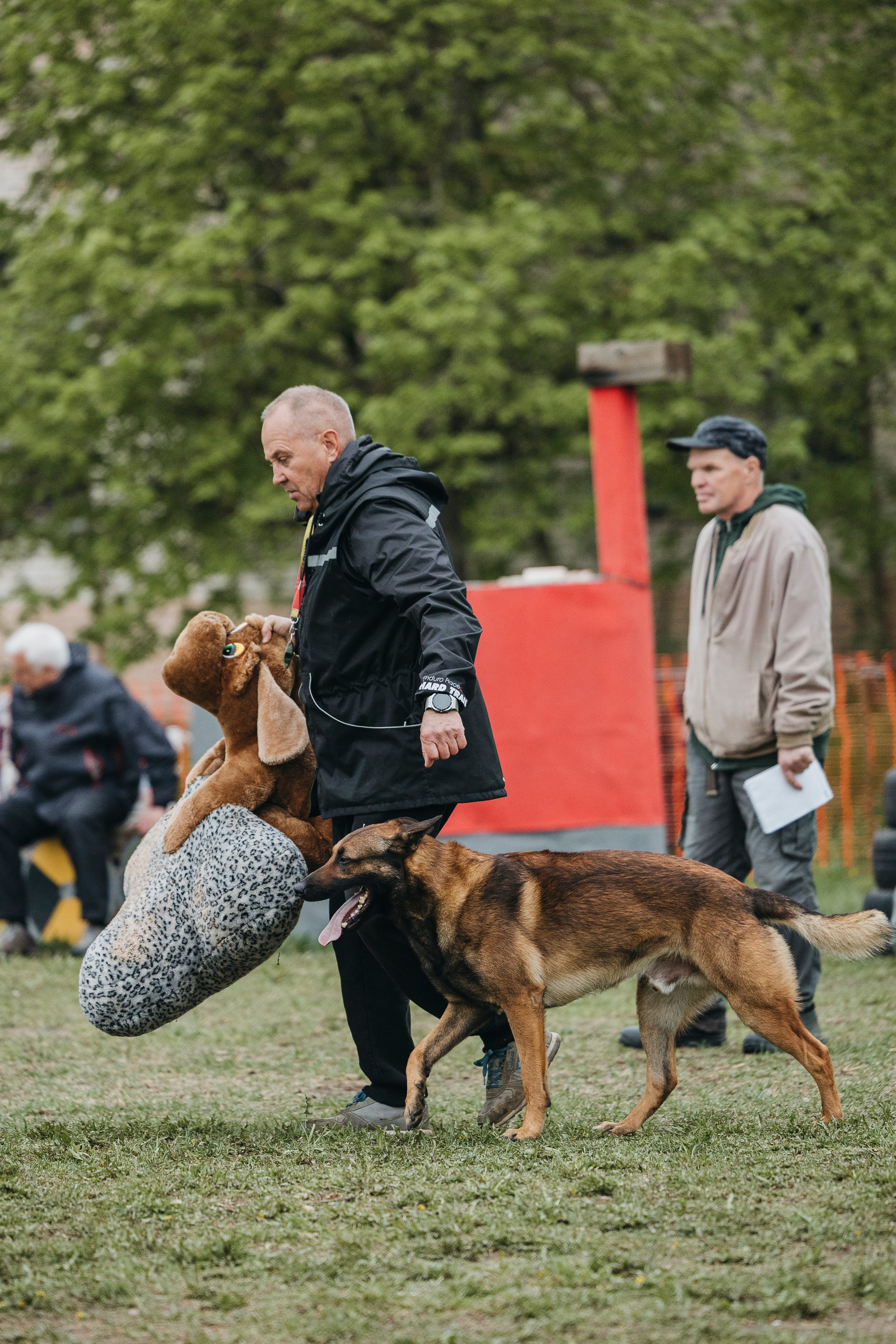 26.05.25 г. Пушкин квалификационные соревнования. Фотограф-анималист Анна Маринич