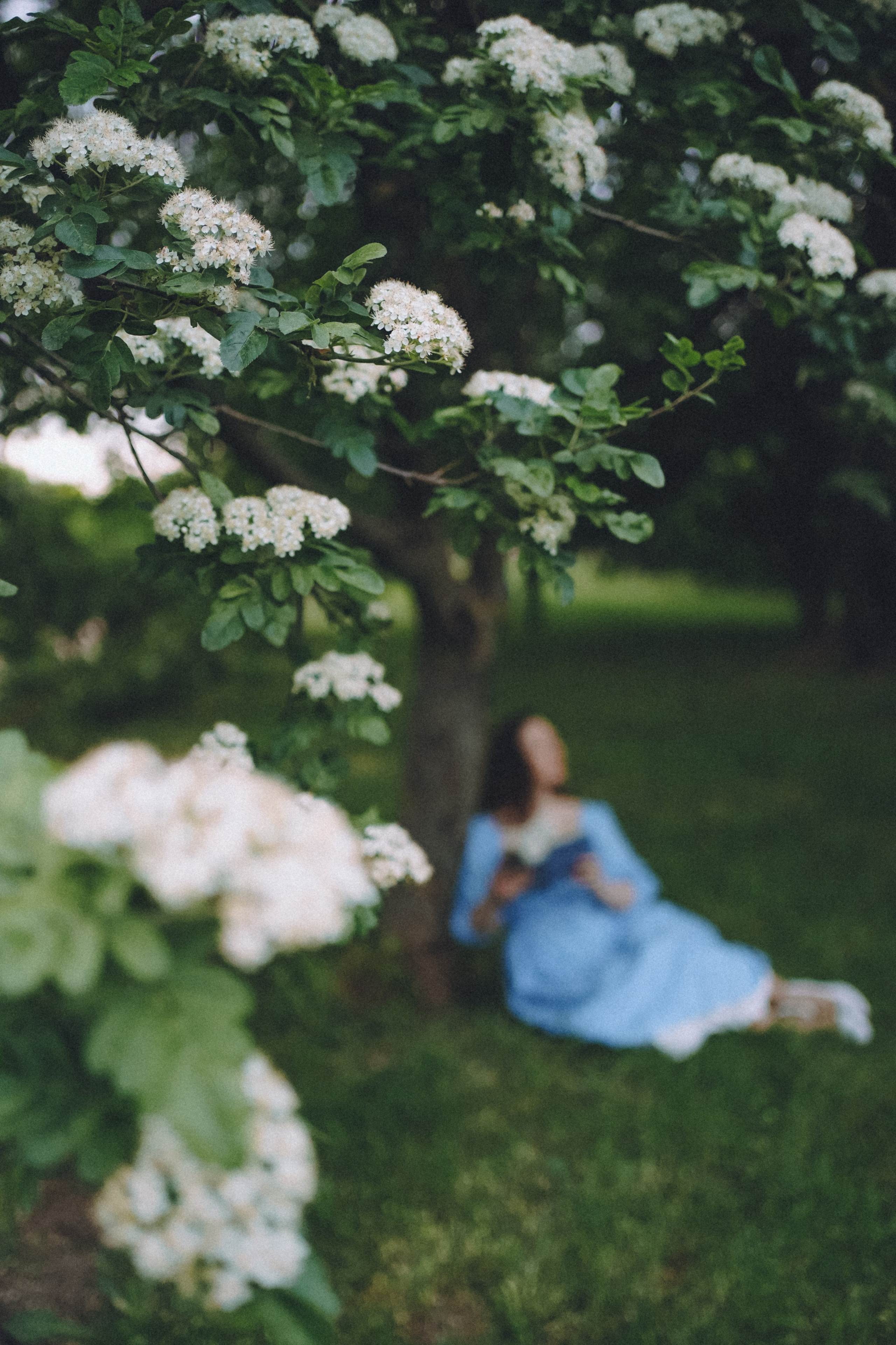 Сиреневый сон. Фотограф Наталья Колганова