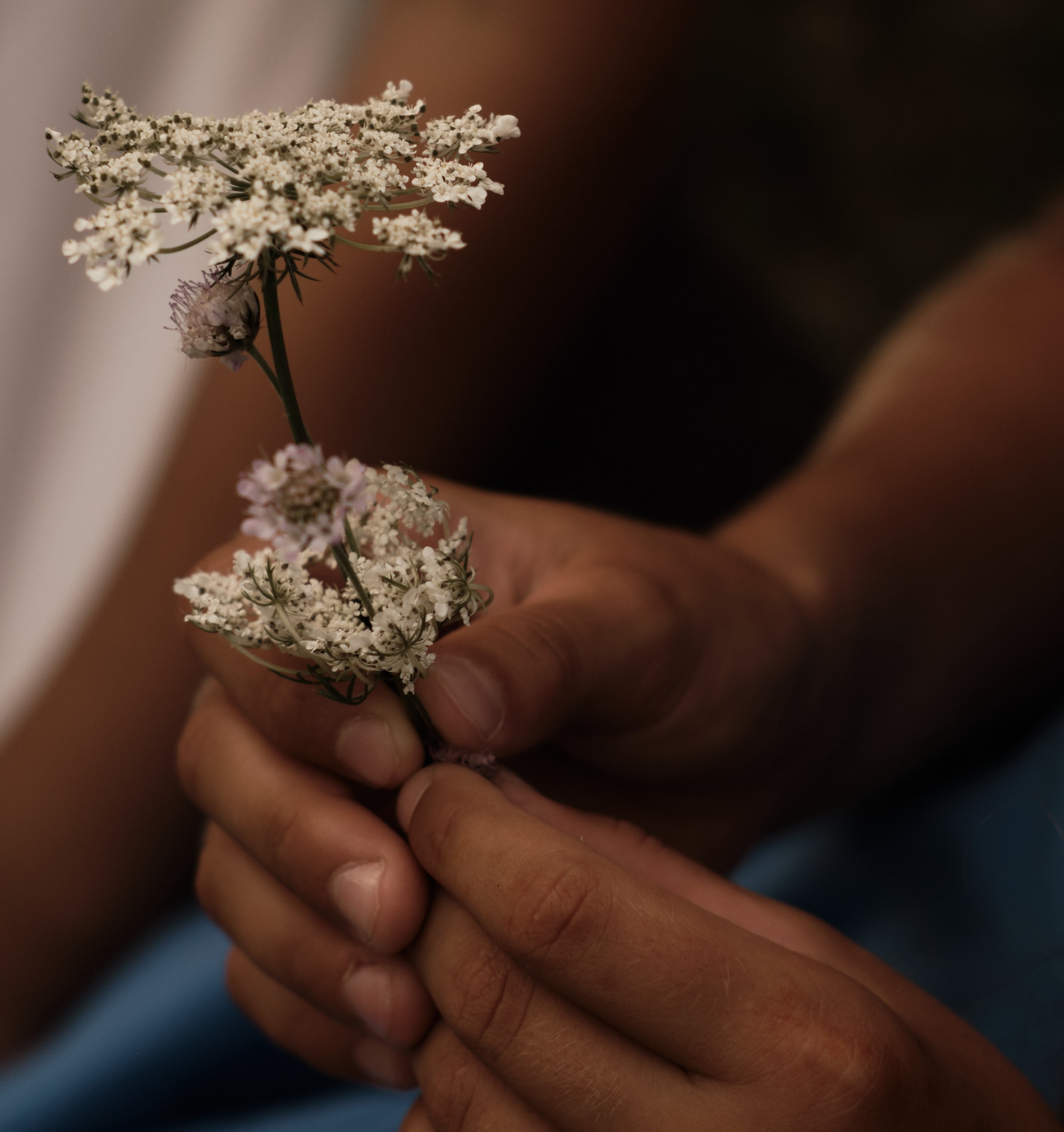 Маленькие сердца, большое тепло. Фотограф Карелина Полина