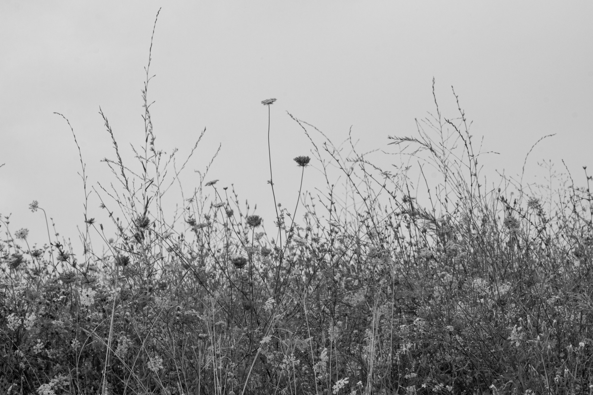 WAITING HALL. Alexander Malchenko