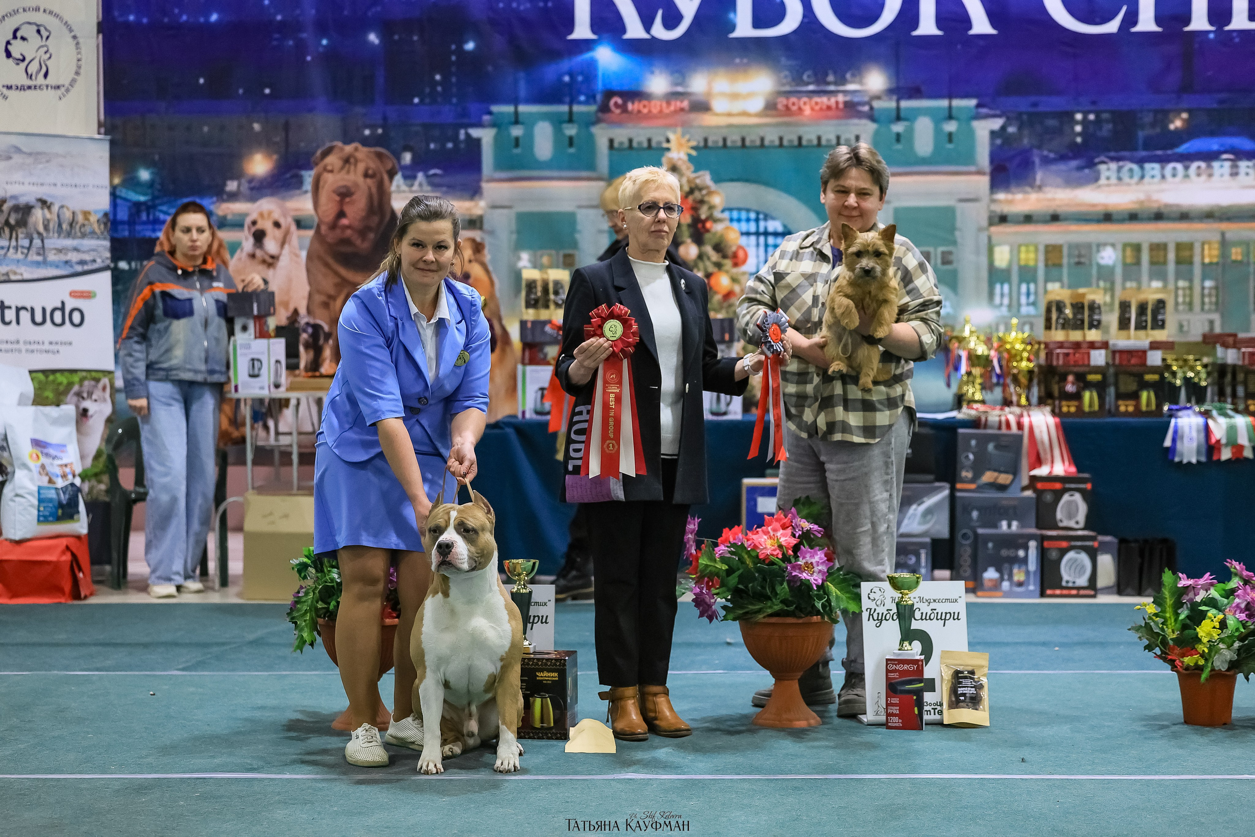 6-7.12.25 — 1-4 Национальные выставки собак в Новосибирске (2х рейтинговые). Фотограф Анималист из Новосибирска Татьяна Кауфман