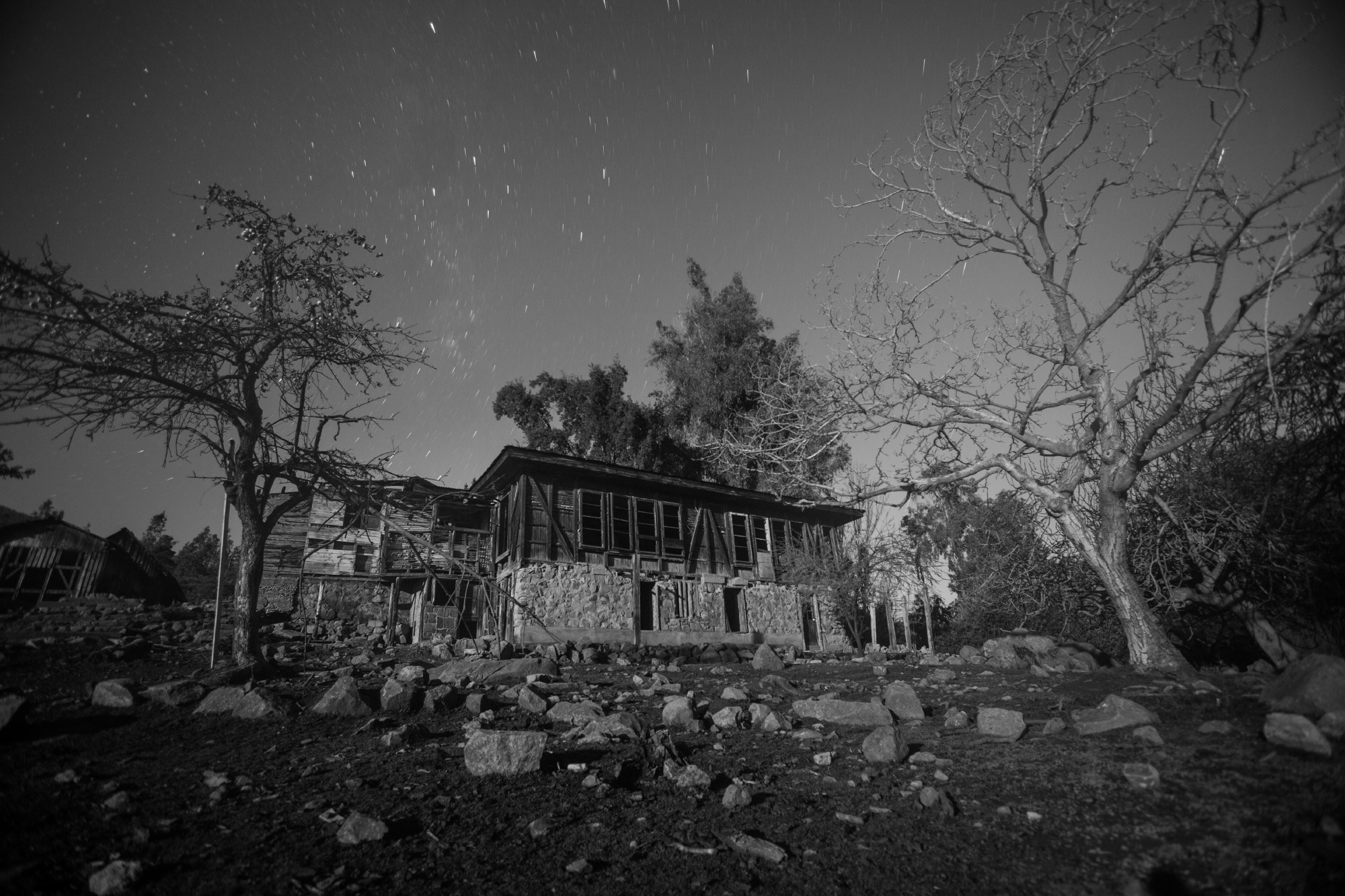 LANDSCAPE. Portrait and business photographer in Moscow Andrey Nikolsky