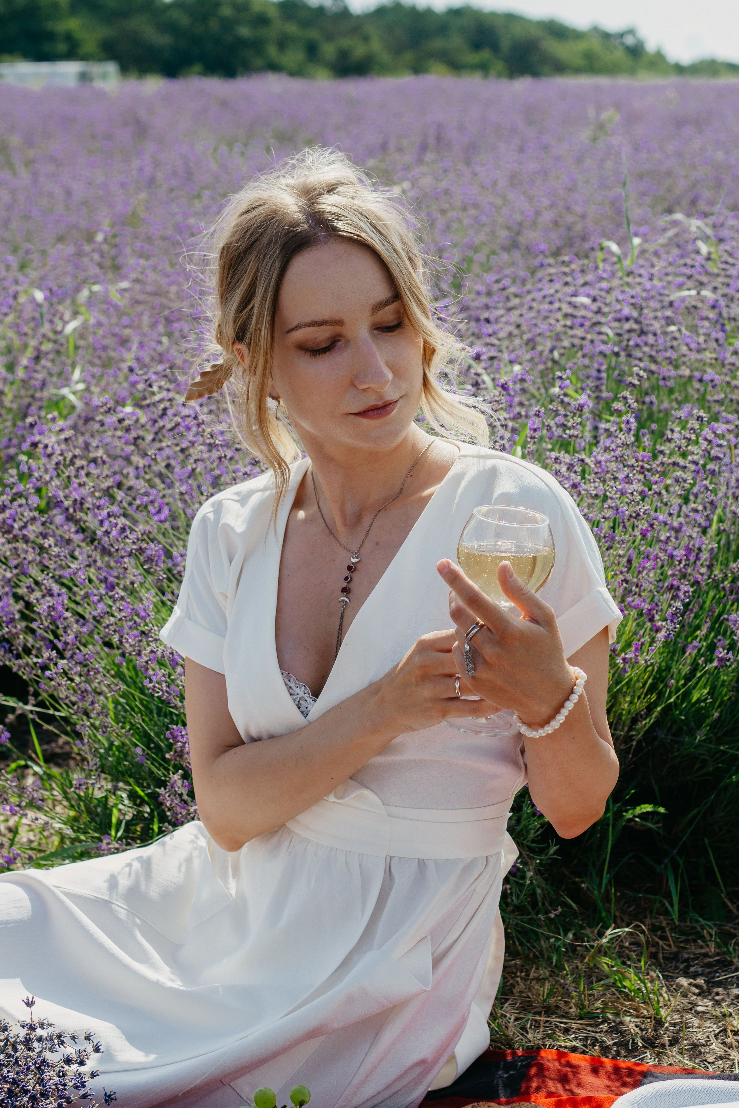 Лаванда. Главная