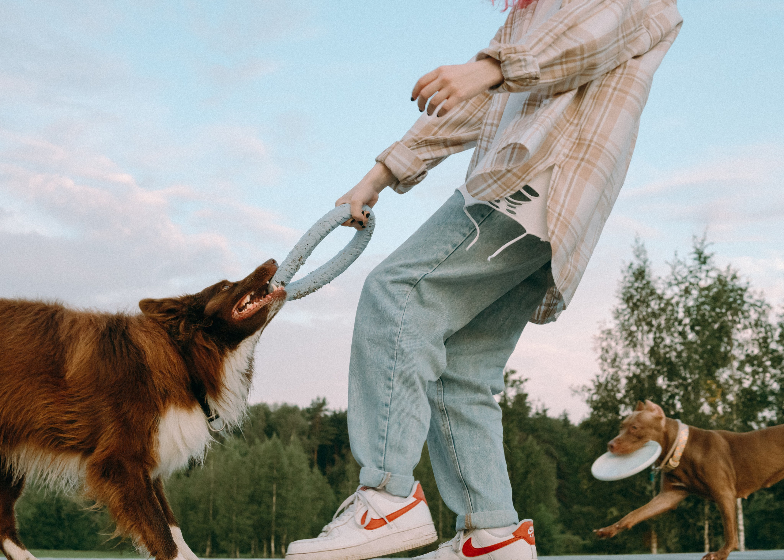 Виолетта, Лила и Питер. Фотограф-анималист Ксения Воробьева, Москва
