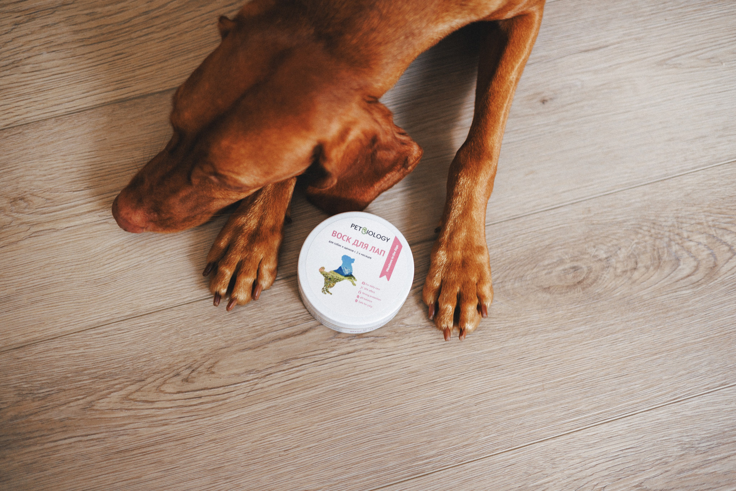 Товары для питомцев M-Pets & Petbiology. Фотограф анималист Осипчикова Мария