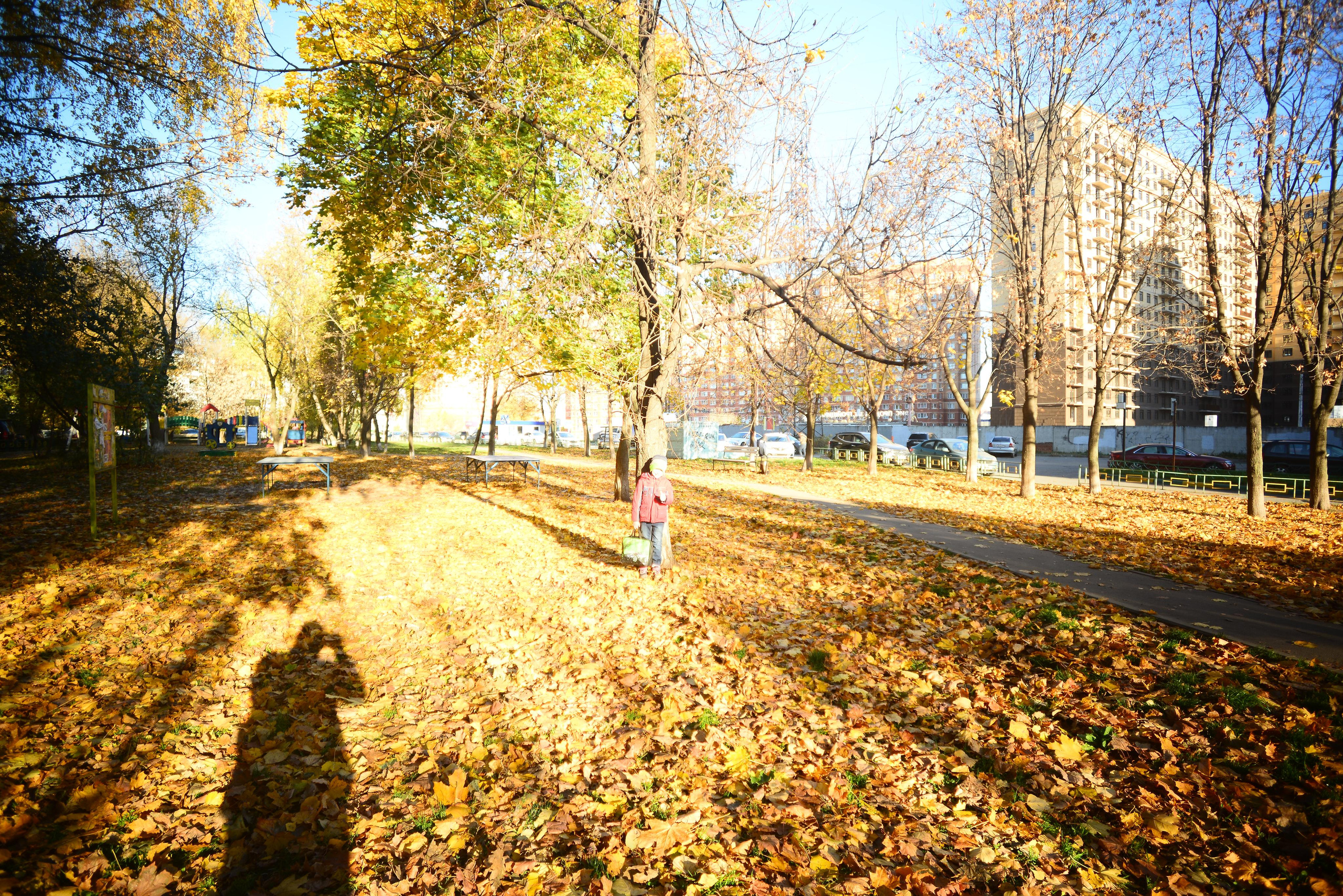 Стритарт. Ян Кузьмин. Я профессиональный фотограф в Москве