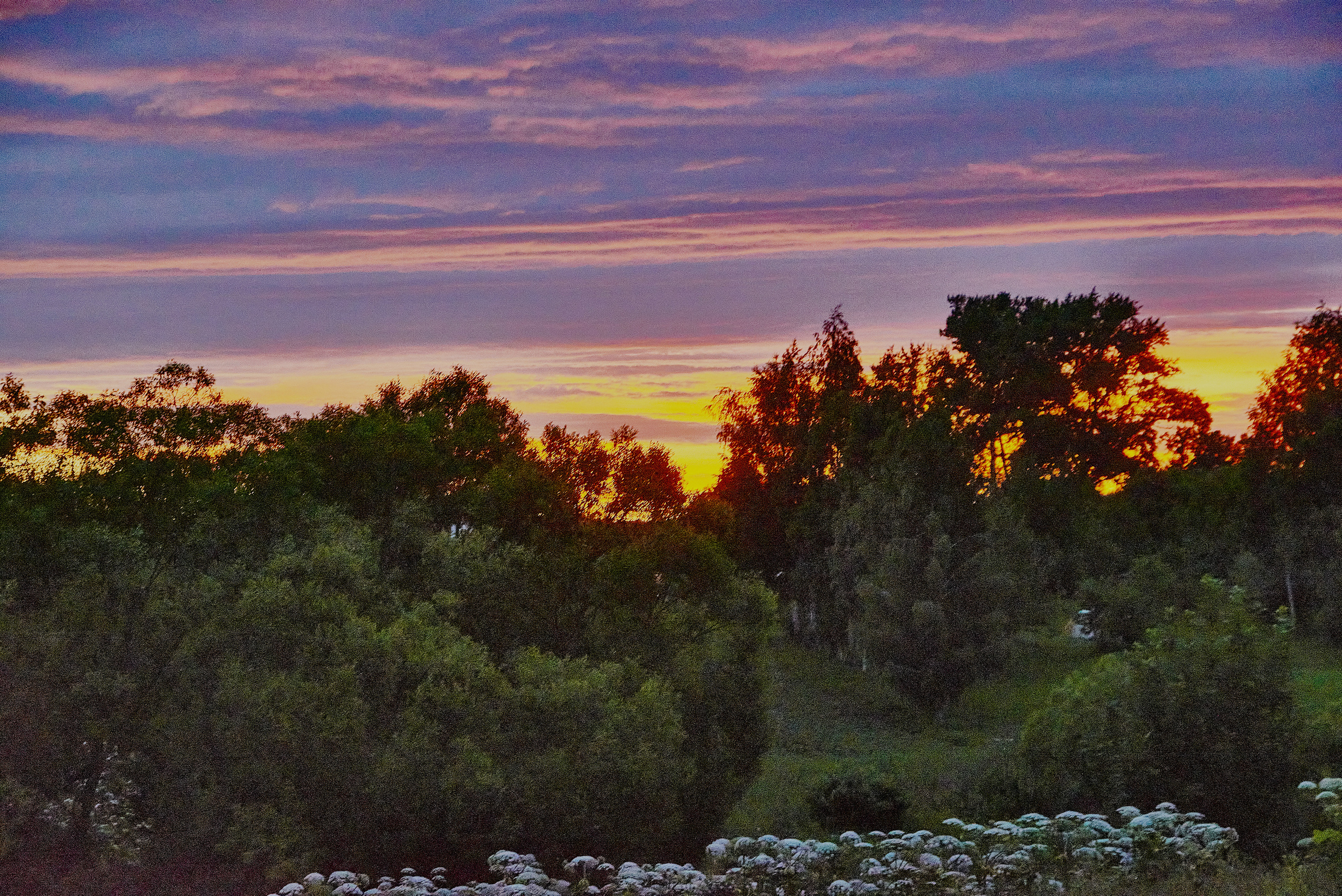 Пейзажи. Ян Кузьмин. Я профессиональный фотограф в Москве