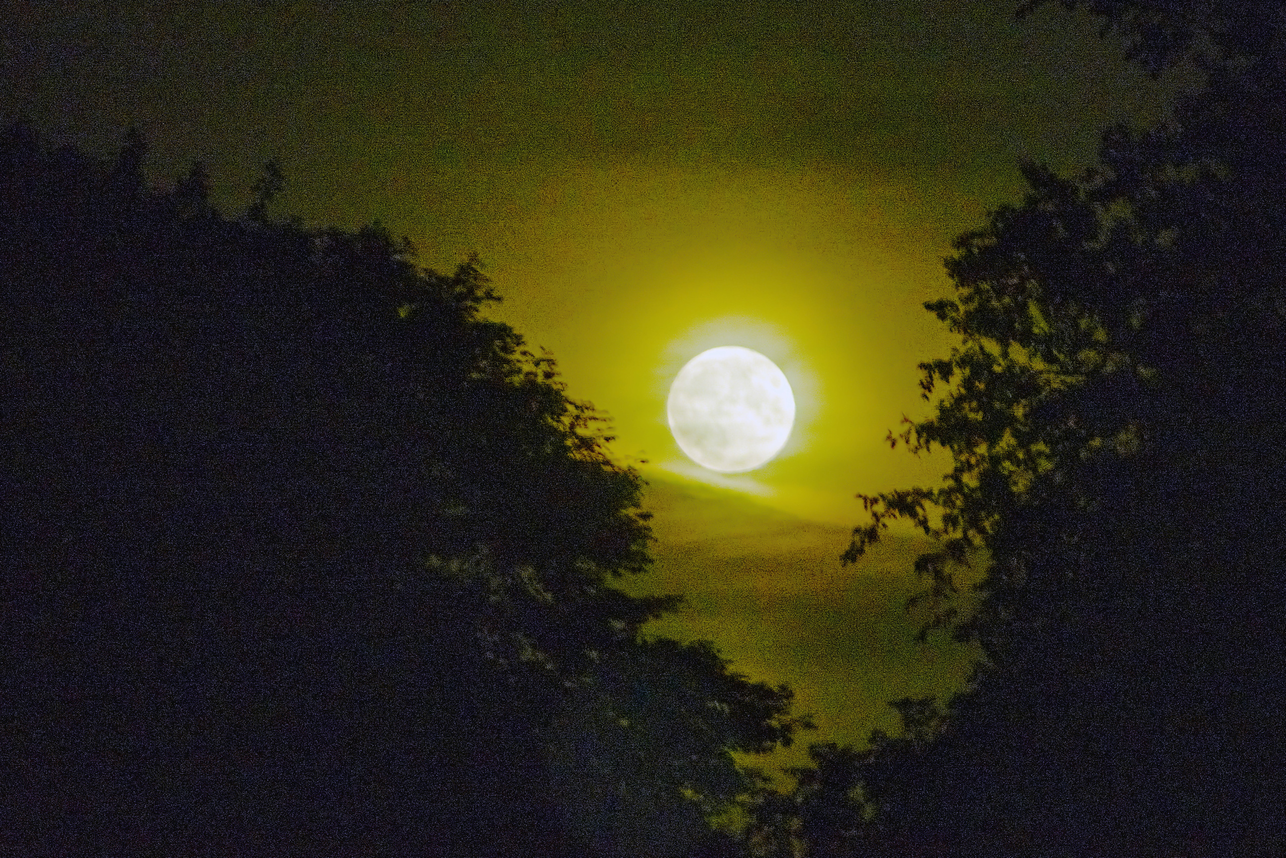 Пейзажи. Ян Кузьмин. Я профессиональный фотограф в Москве