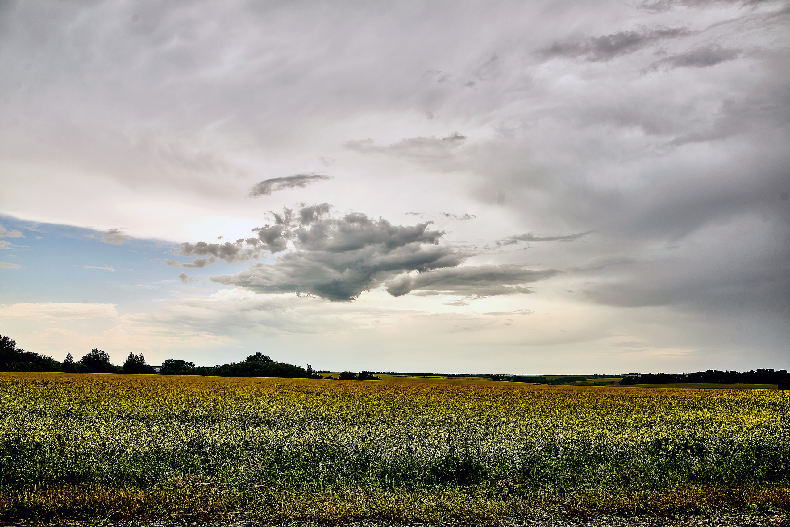 Пейзажи. Ян Кузьмин. Я профессиональный фотограф в Москве