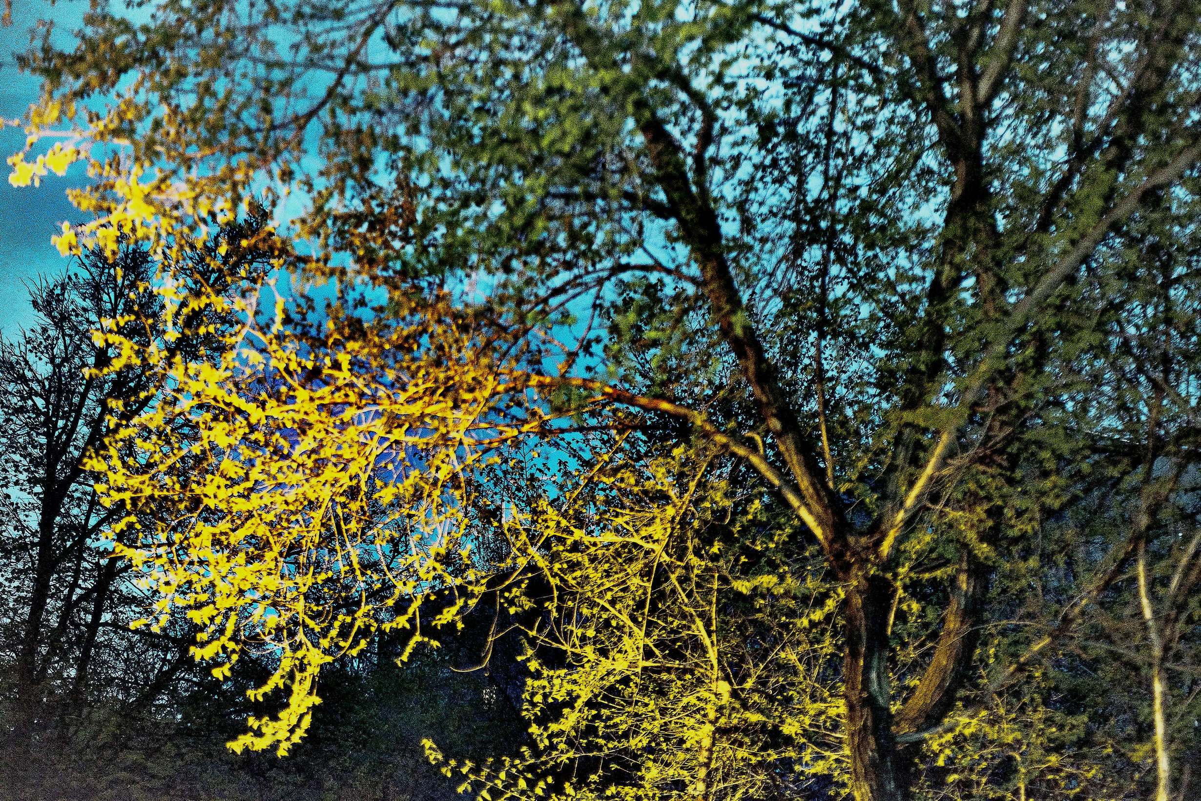 Стритарт. Ян Кузьмин. Я профессиональный фотограф в Москве