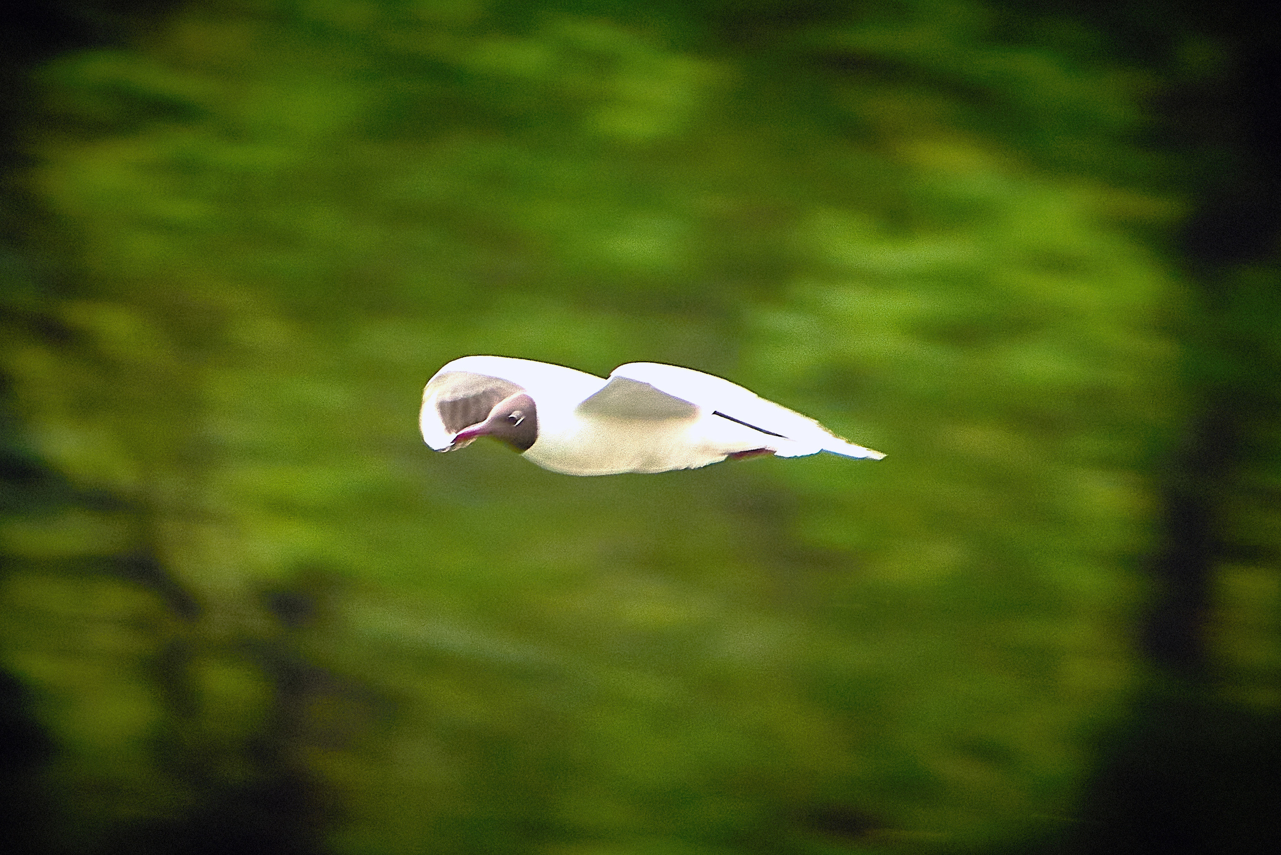 Стритарт. Ян Кузьмин. Я профессиональный фотограф в Москве