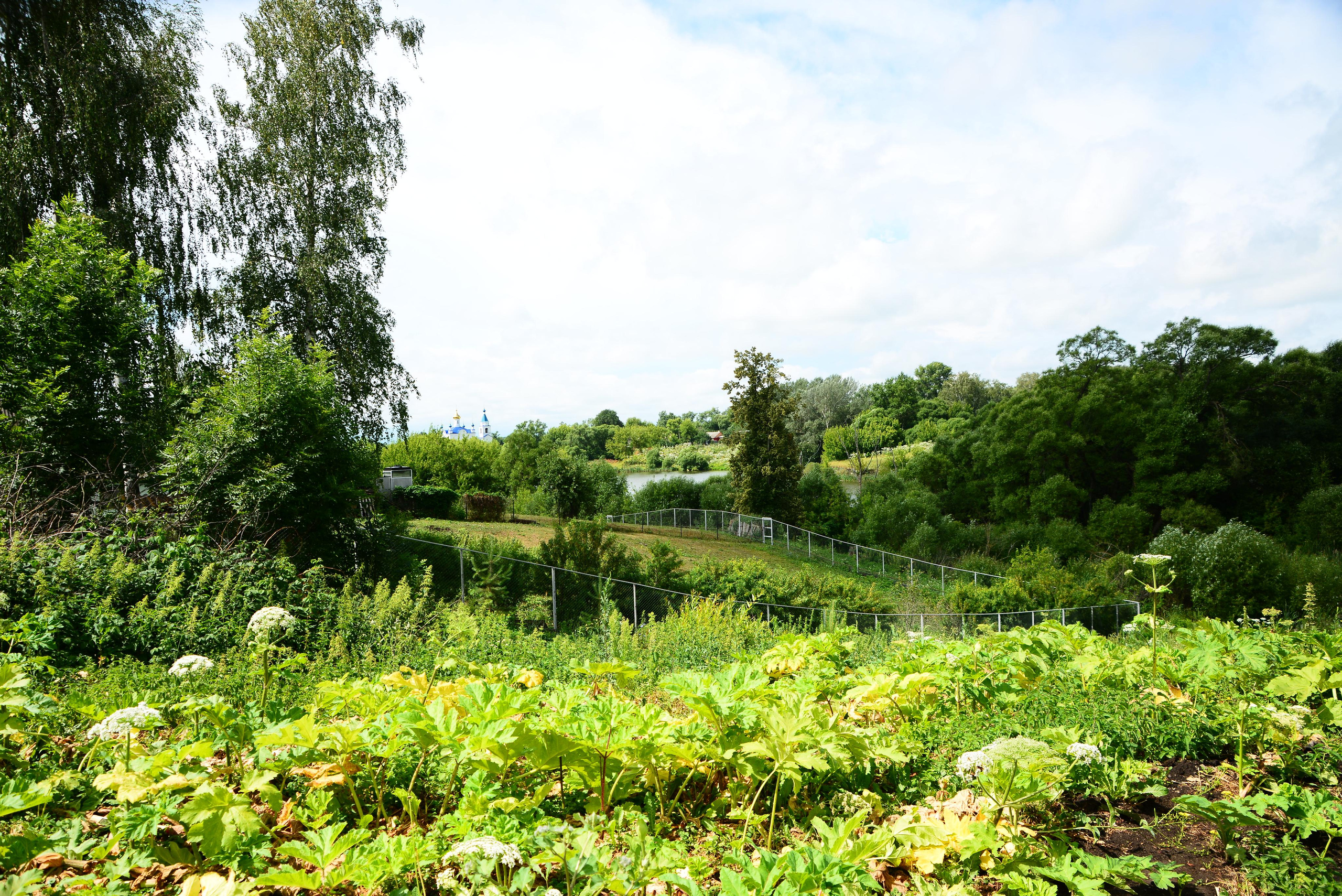 Пейзажи. Ян Кузьмин. Я профессиональный фотограф в Москве