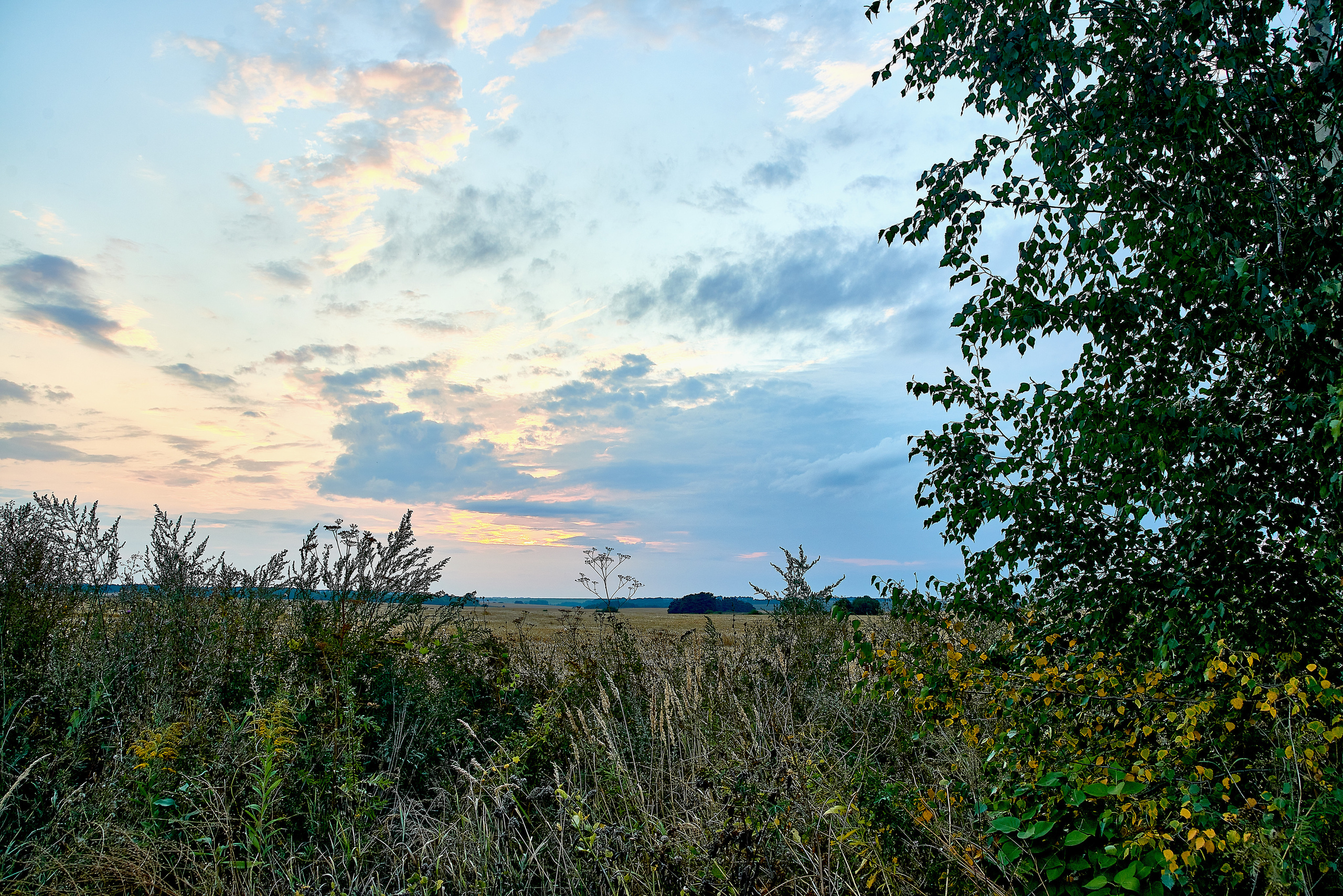 Пейзажи. Ян Кузьмин. Я профессиональный фотограф в Москве