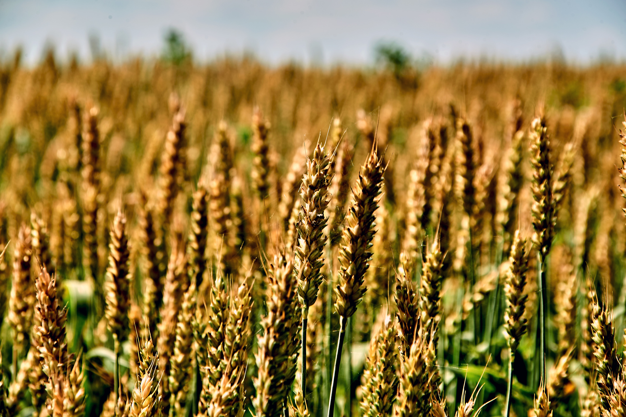 Предметная фотография. Ян Кузьмин. Я профессиональный фотограф в Москве
