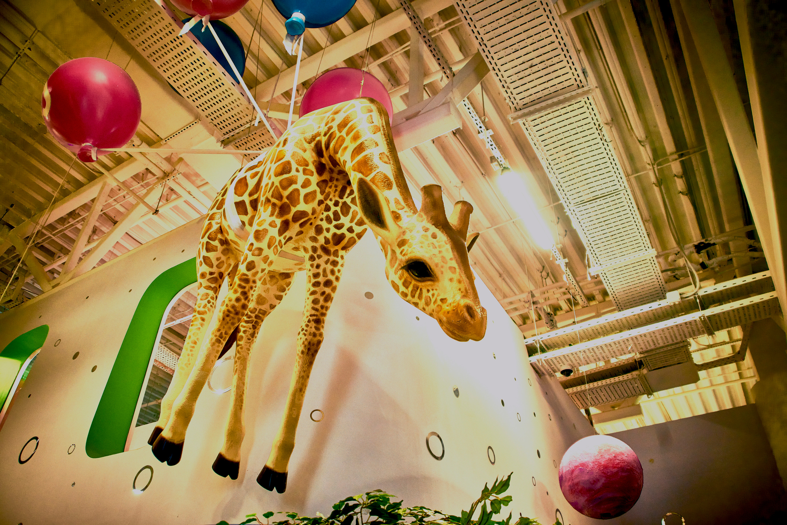 ДР в Joki-Joya. Ян Кузьмин. Я профессиональный фотограф в Москве