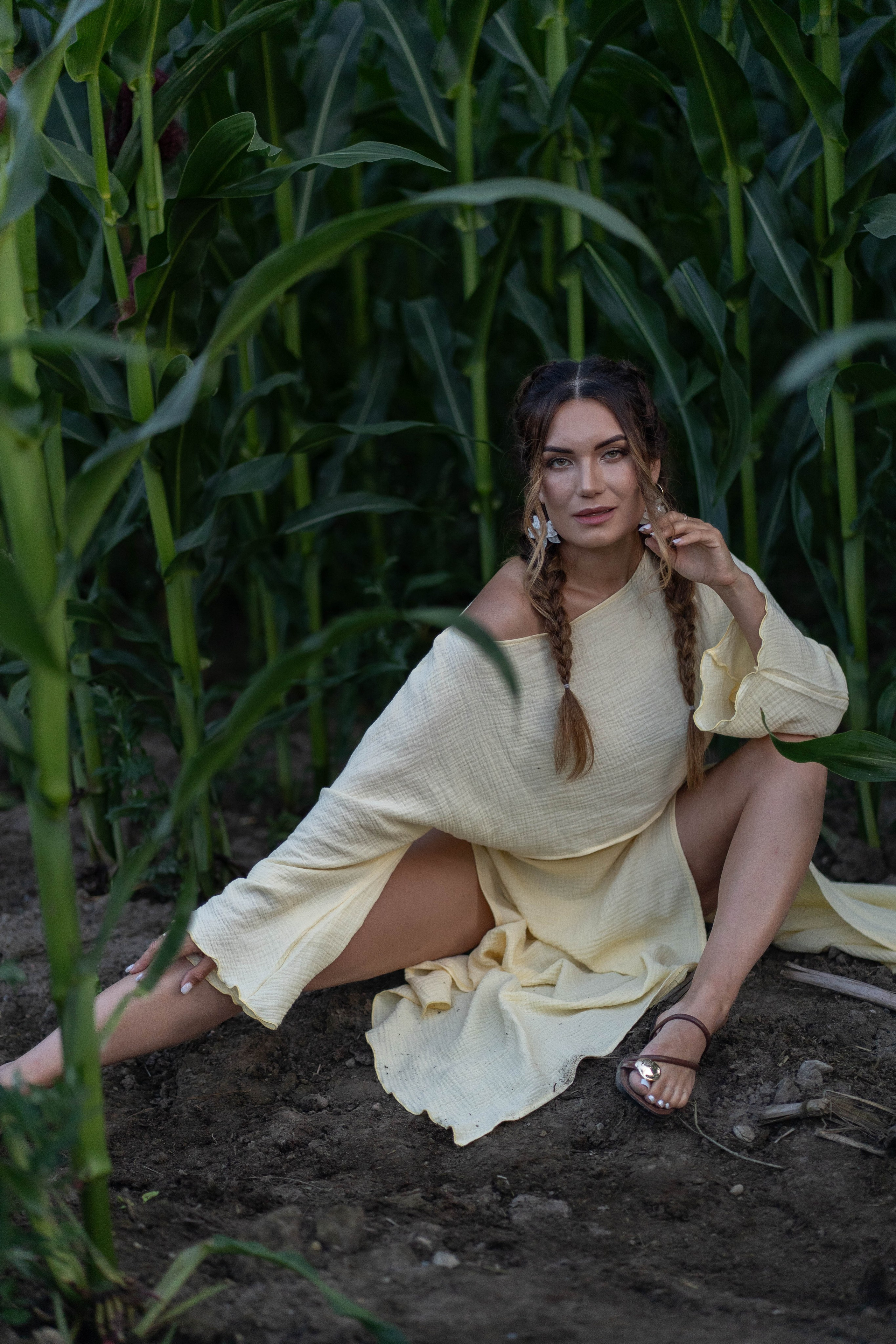 Кукурузное поле. Главная