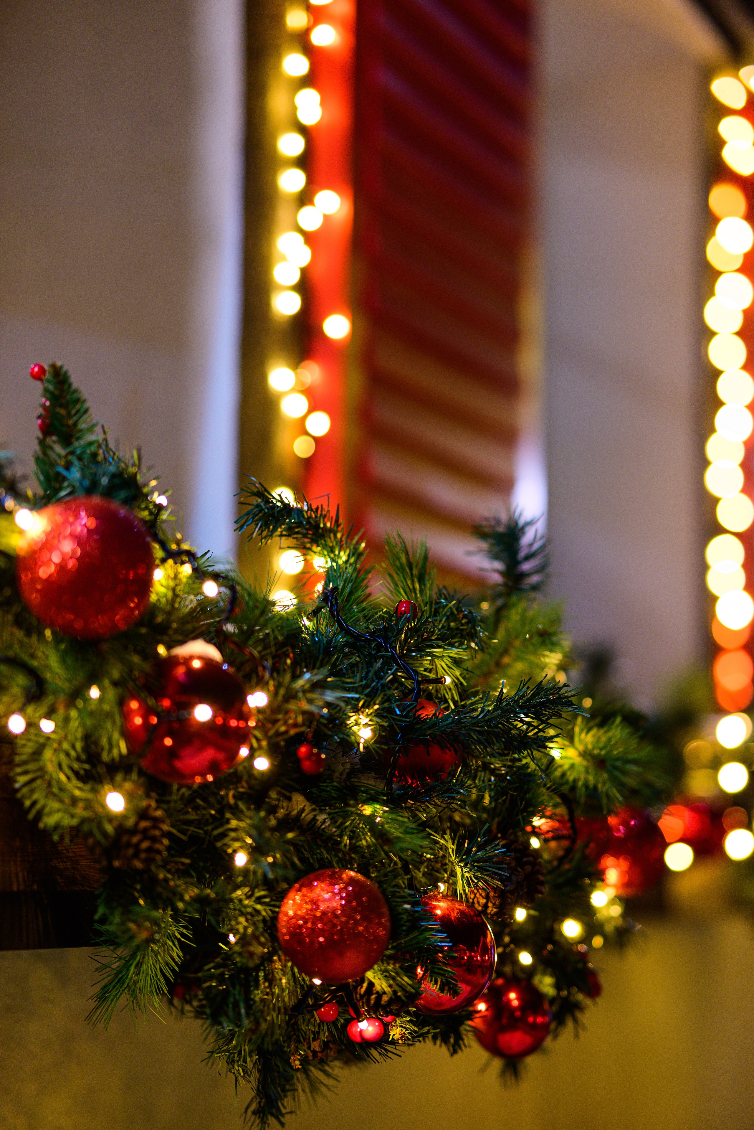 Зимняя Калининградская область. Фотосъемка и видеосъемка в Калининграде Liveemotion.pro