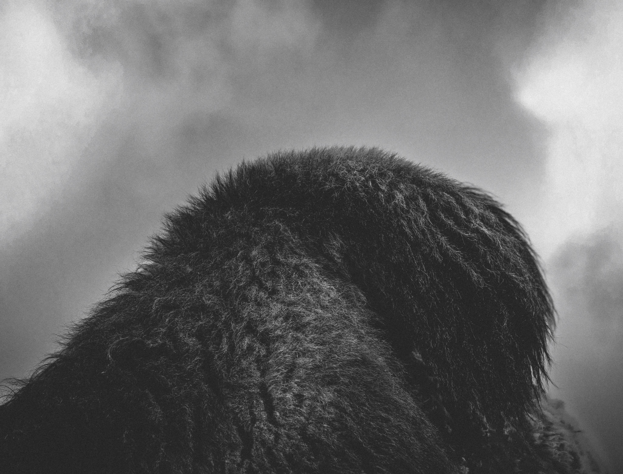 Метафизика. Фотограф Александр Тихонов