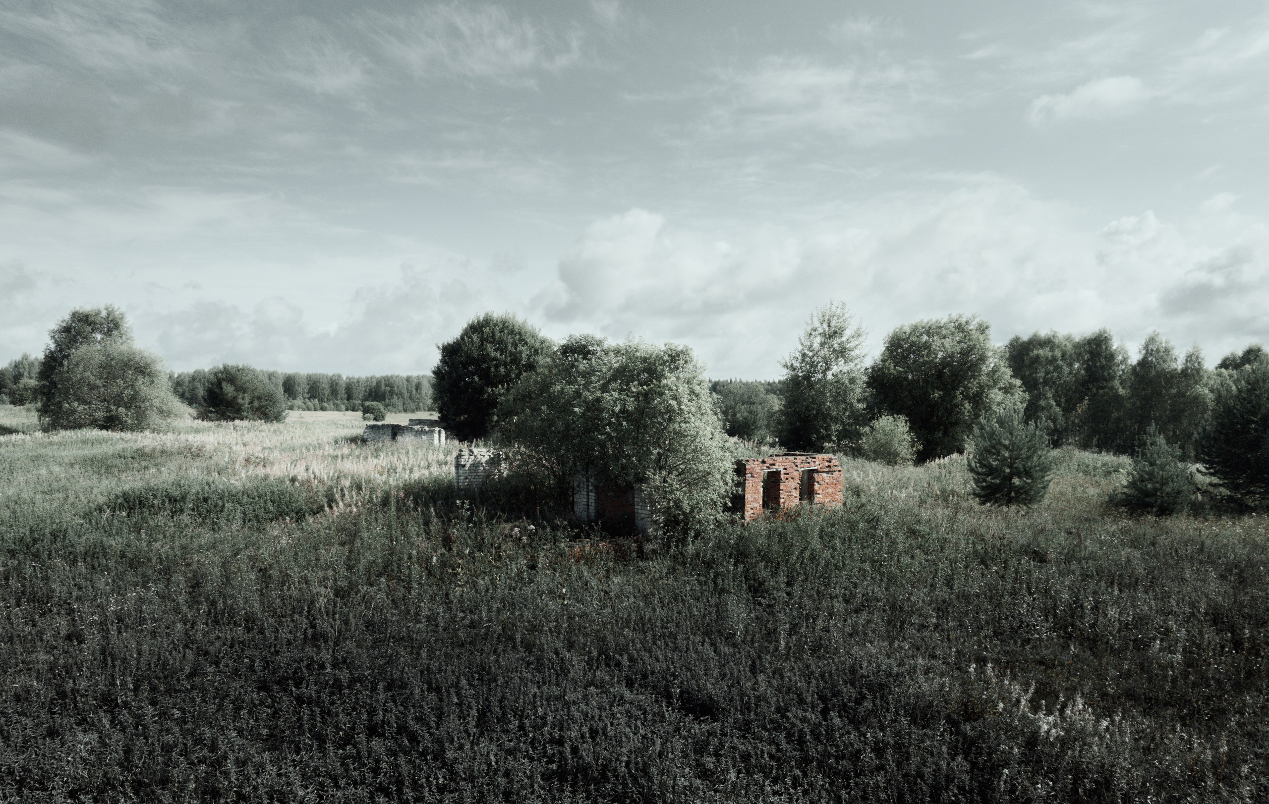 Природа. Фотограф Александр Тихонов