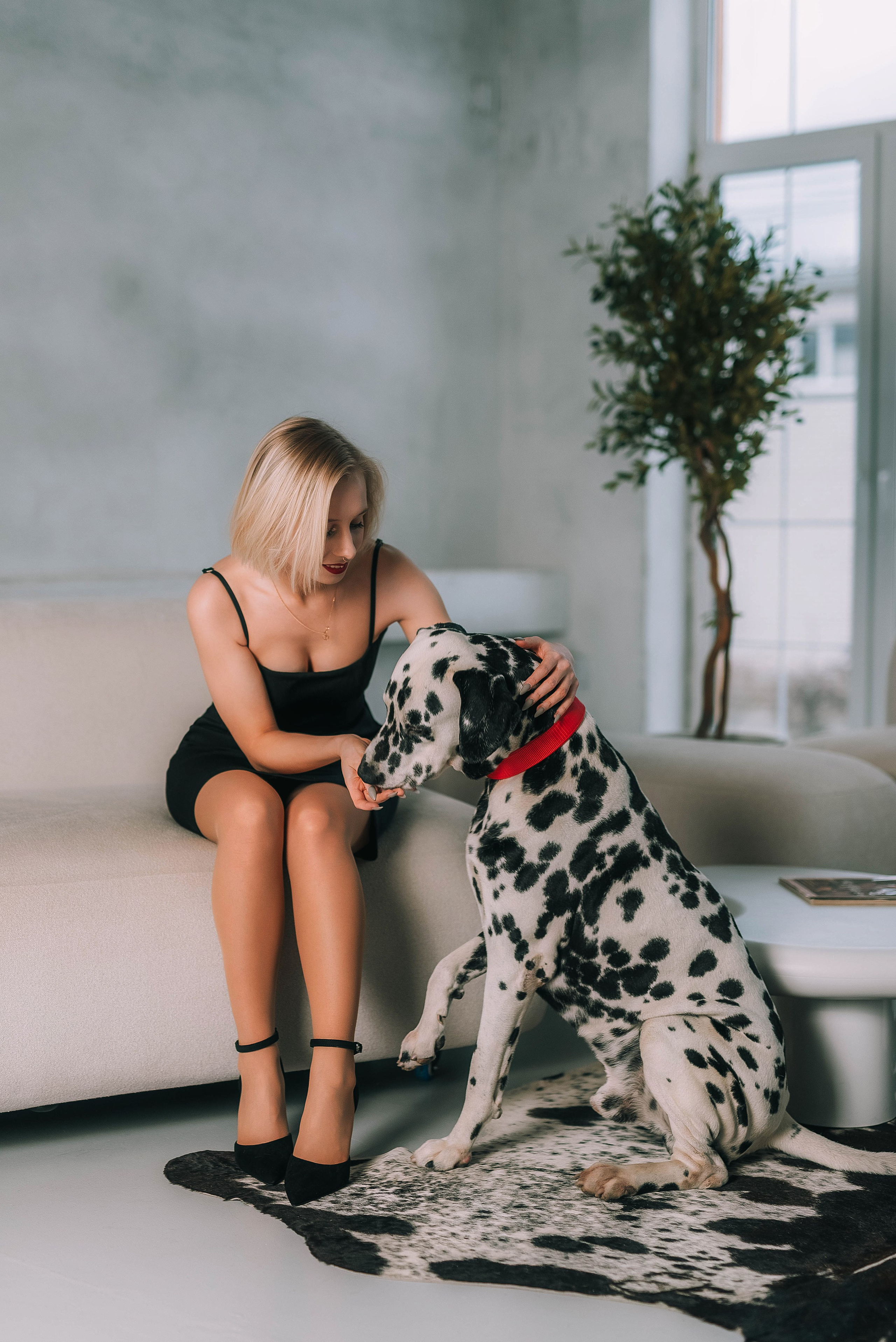 Фотосессия с далматинцем. Семейный, детский фотограф в Воронеже Анна Никитина