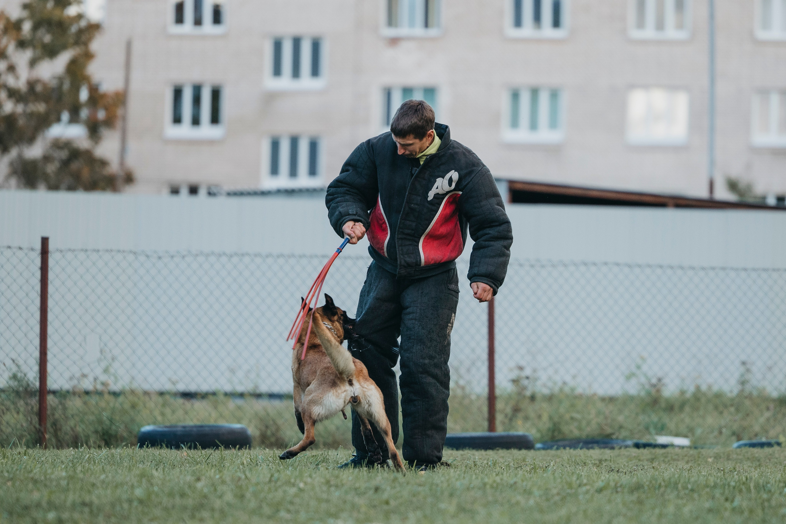 Испытания по мондьорингу г. Пушкин 29.09.2024. Фотограф-анималист Анна Маринич