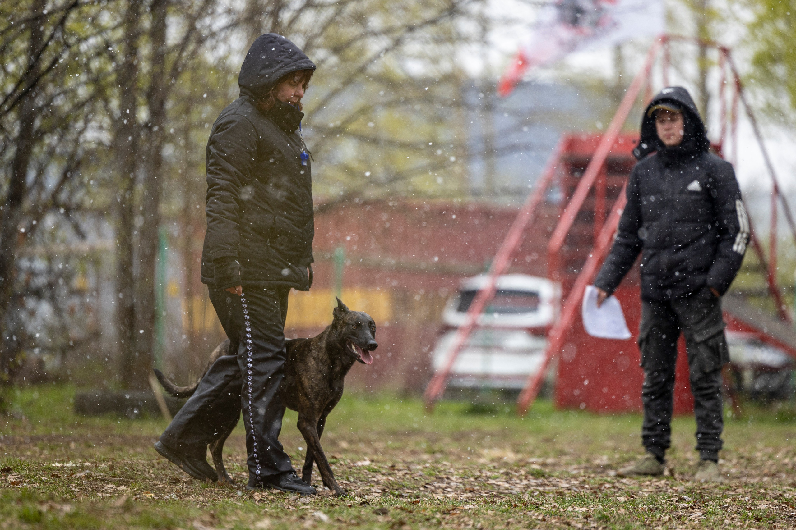 Квалификационные состязания по мондьорингу г. Вологда 11.05.24. Фотограф-анималист Анна Маринич