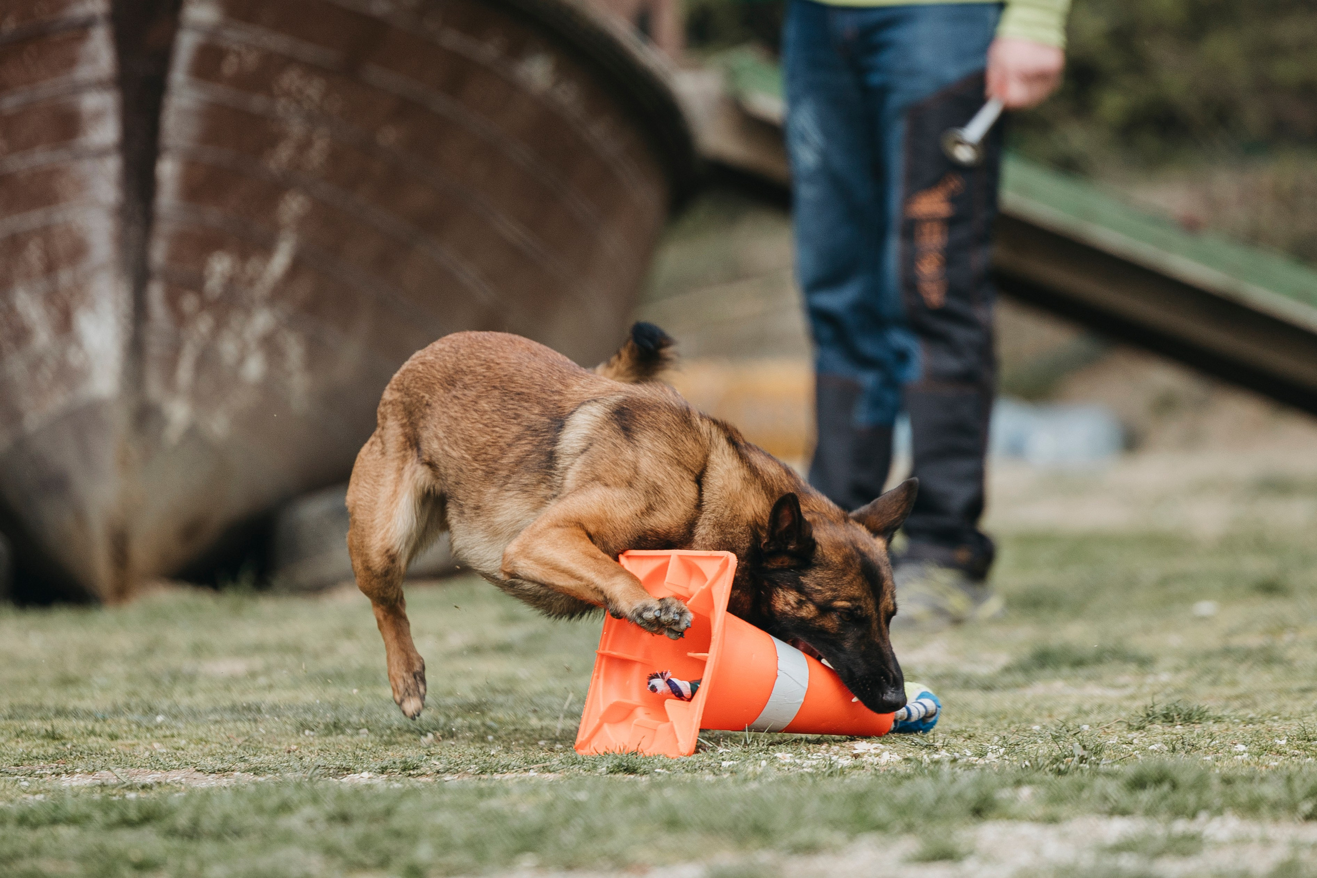 Геленджик Мондьоринг. Фотограф-анималист Анна Маринич