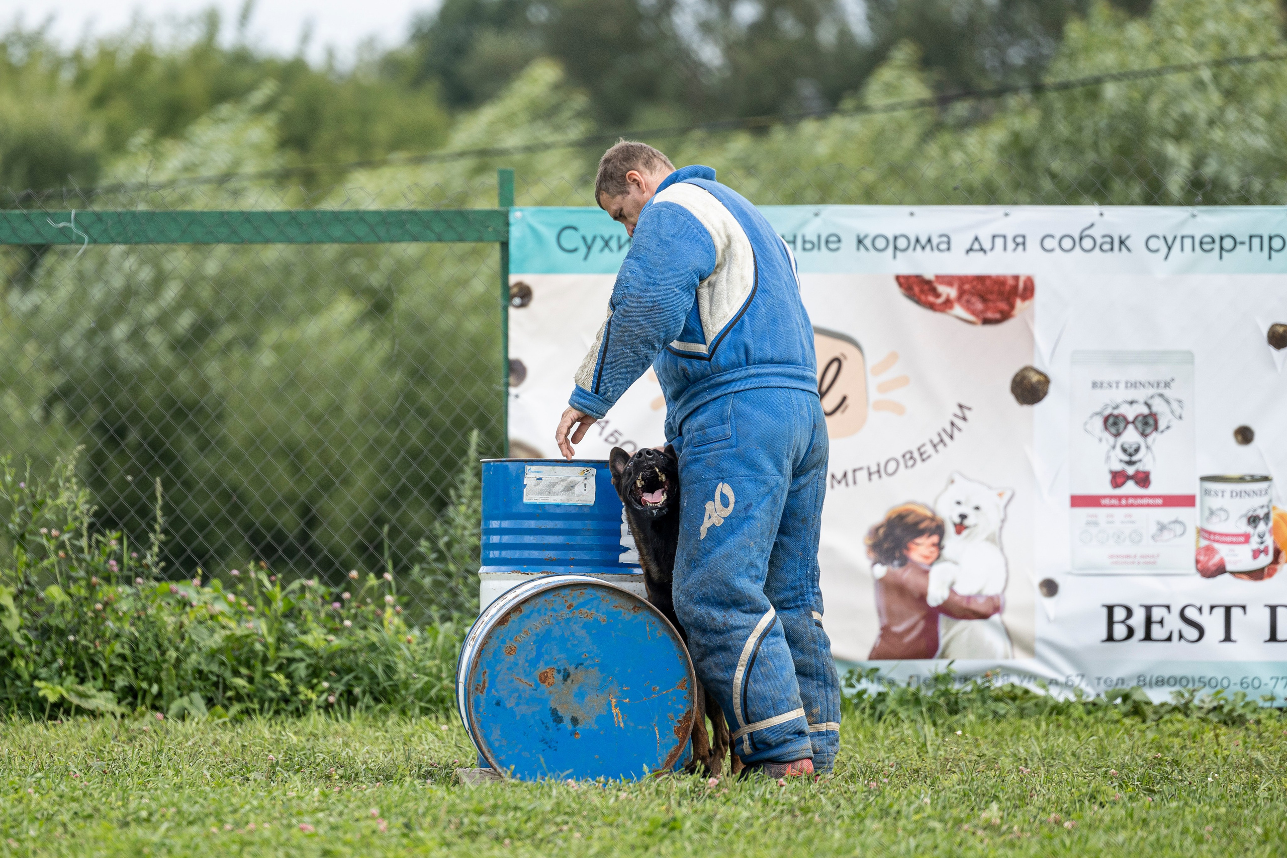 Соревнования по Мондьорингу г. Вологда 10-11.08.2024. Фотограф-анималист Анна Маринич
