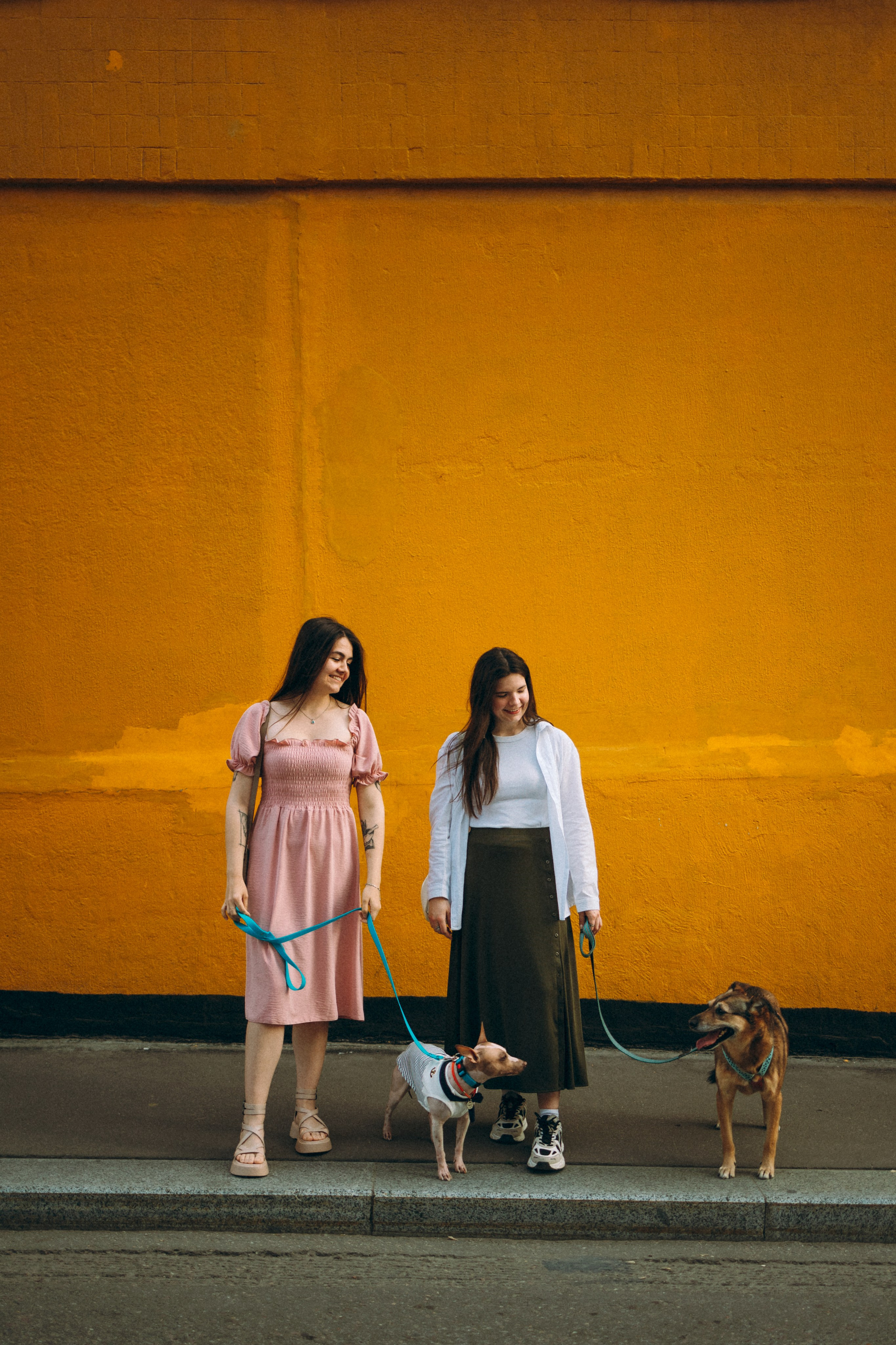 Глаша, Айрон, Ксюша и Оля. Фотограф анималист Анастасия Пикей