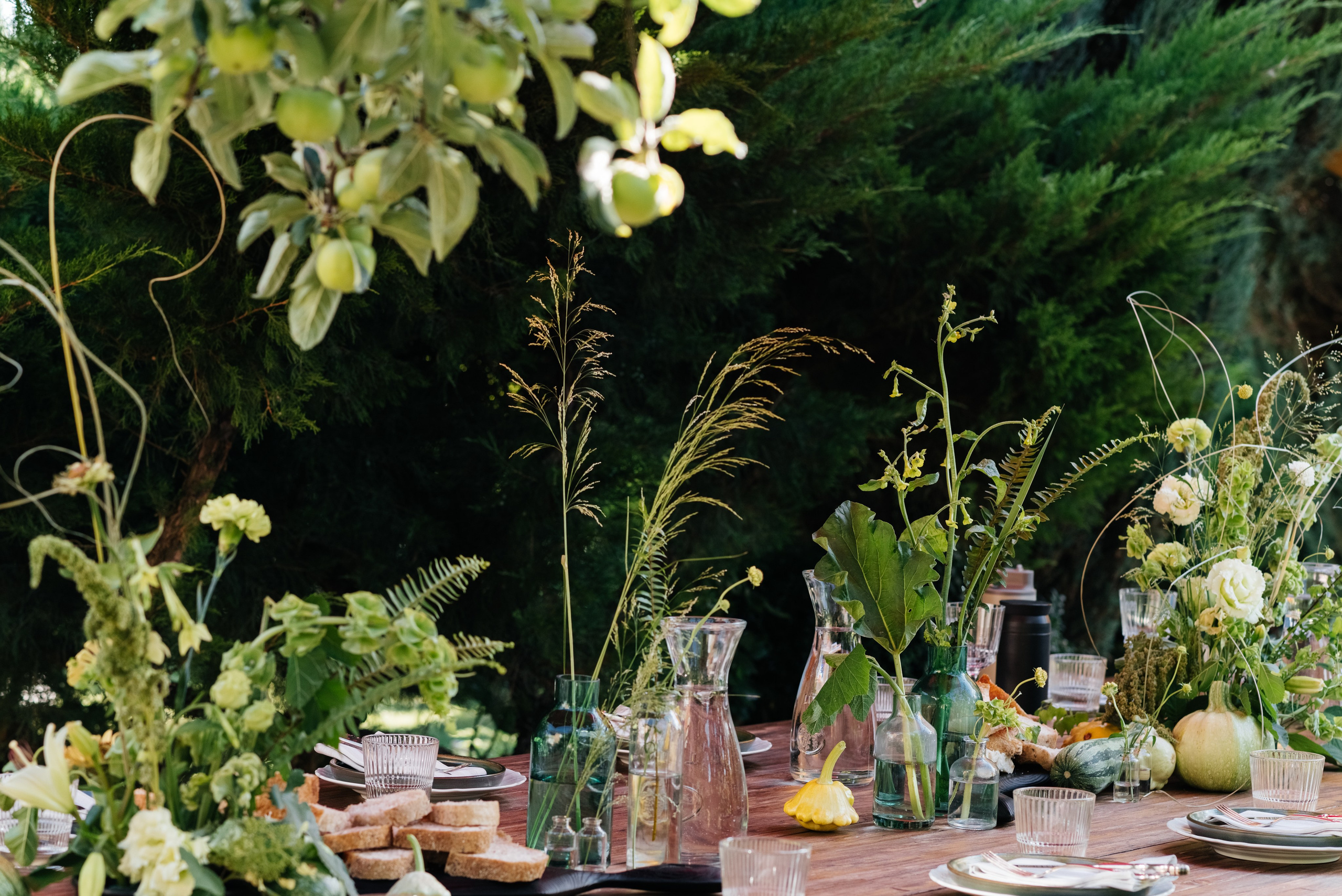 Трапези. Мержаново — гастроужин. Фотограф Елена Кучук