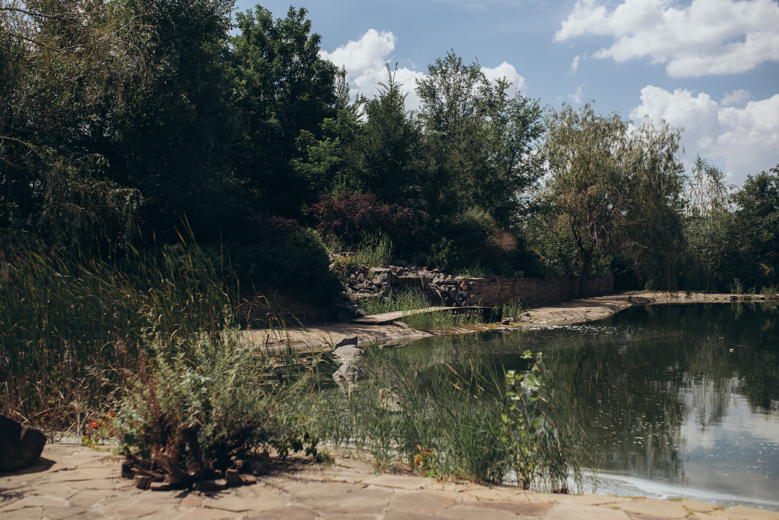 Дмитрий + Евгения. Главная