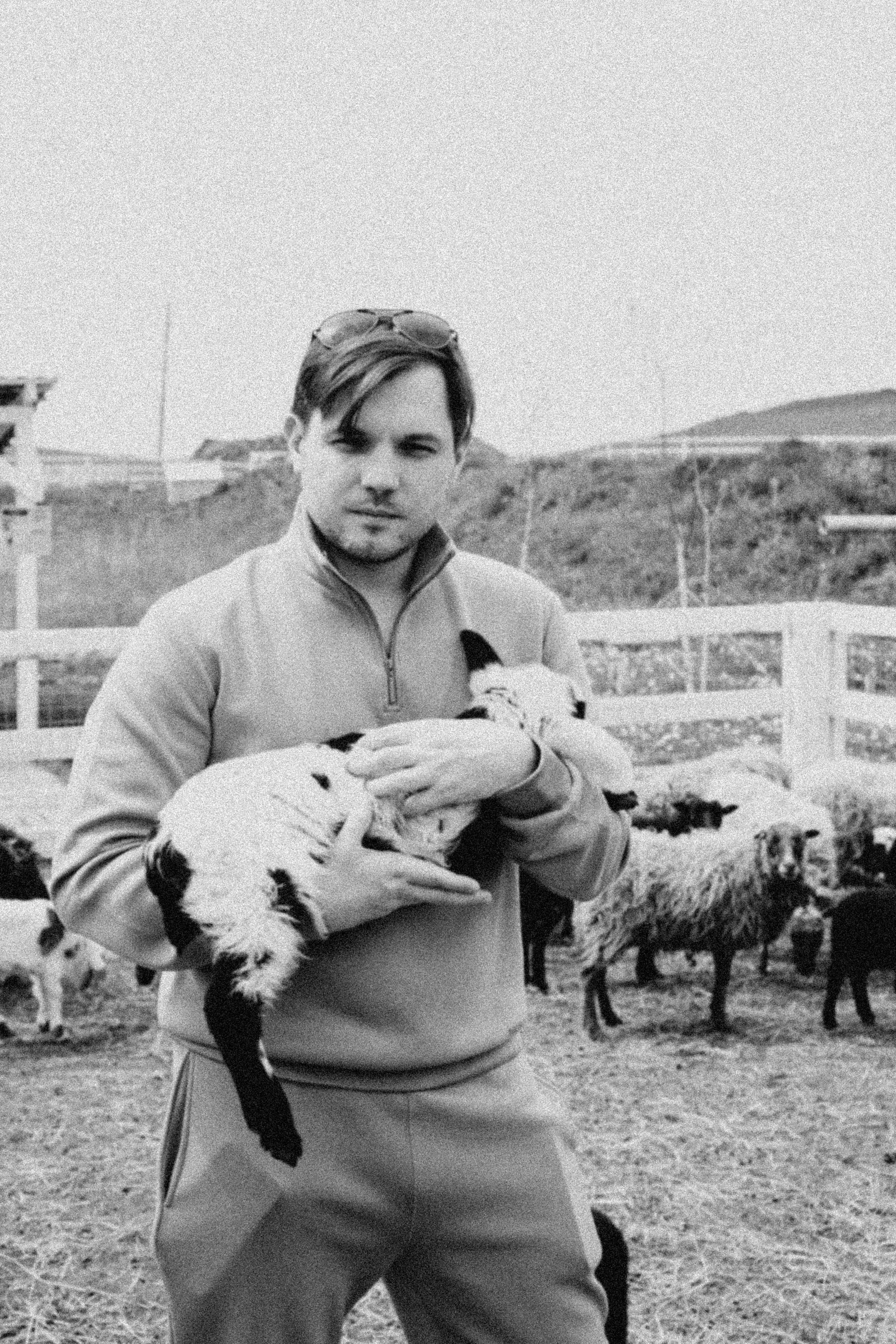 Ферма Альпак. Профессиональный фотограф, Санкт-Петербург — Виктория Богомолова