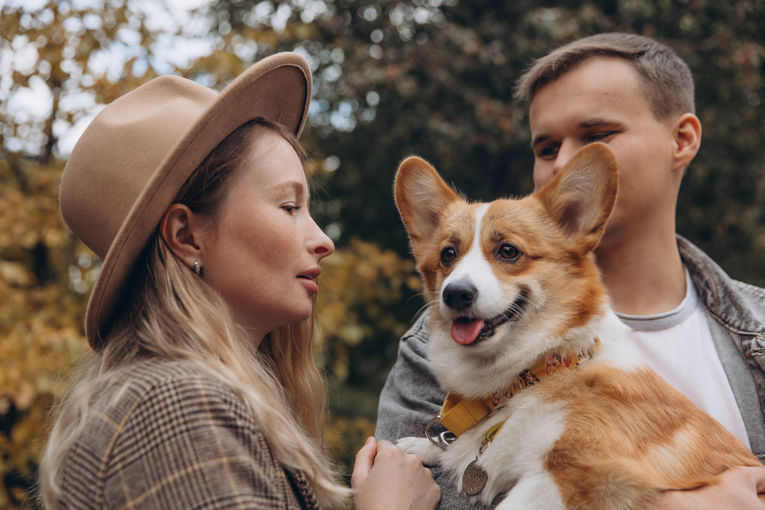 «Королевский Корги» 2. Фотограф Алина Ионычева в Новосибирске