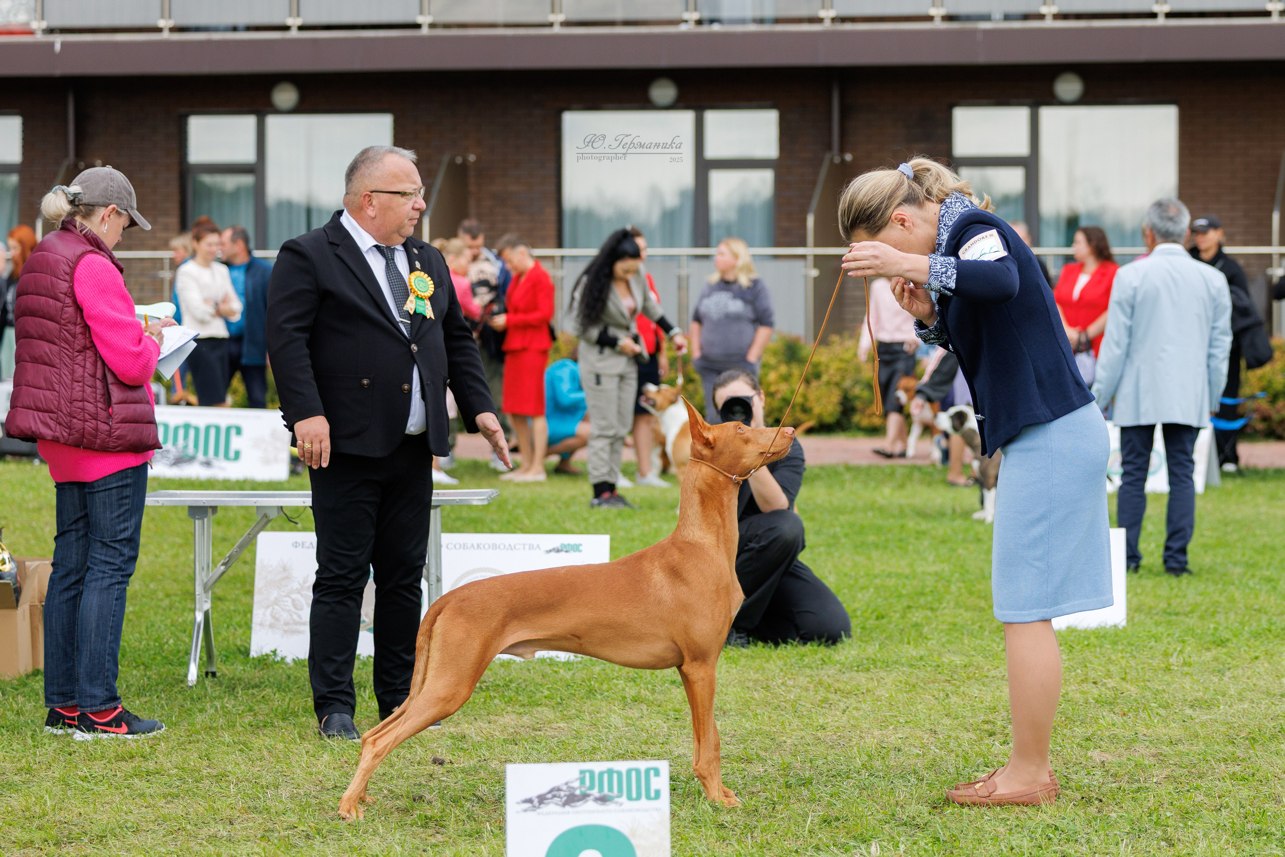 Переславль 5-7.08.2025. Фотограф-анималист Юлия Германика
